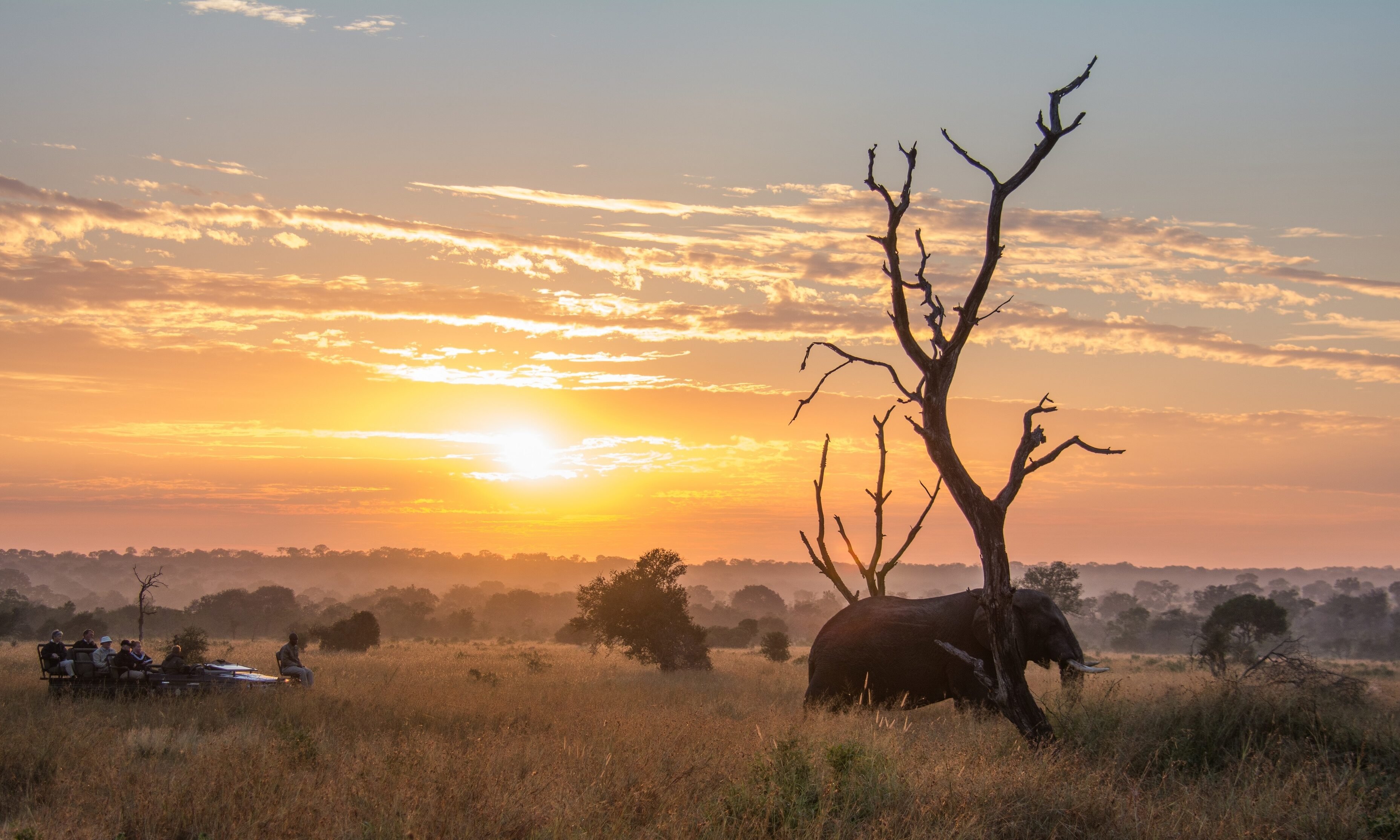 Kruger National Park Zuid-Afrika