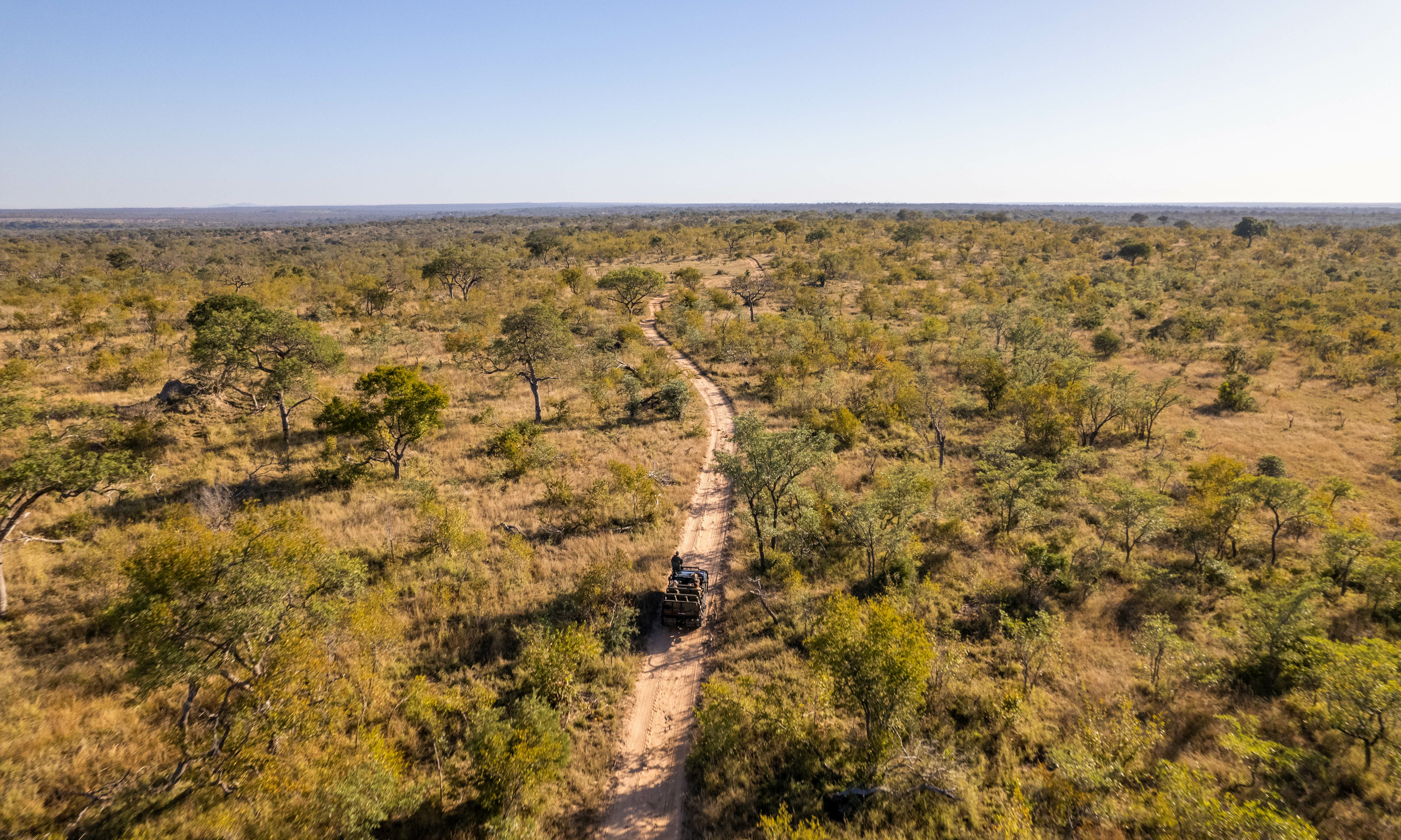 Kruger National Park Zuid-Afrika