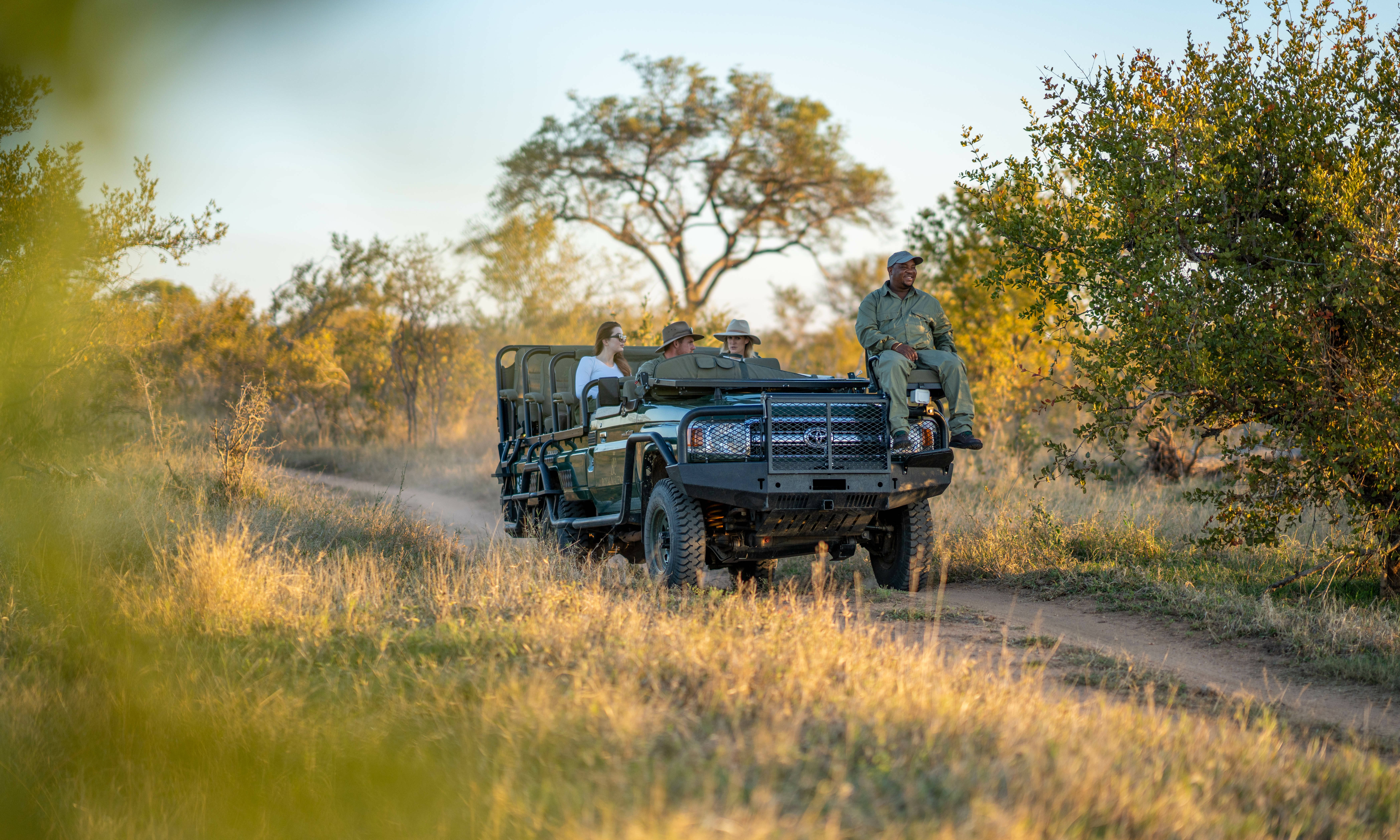 Kruger National Park Zuid-Afrika