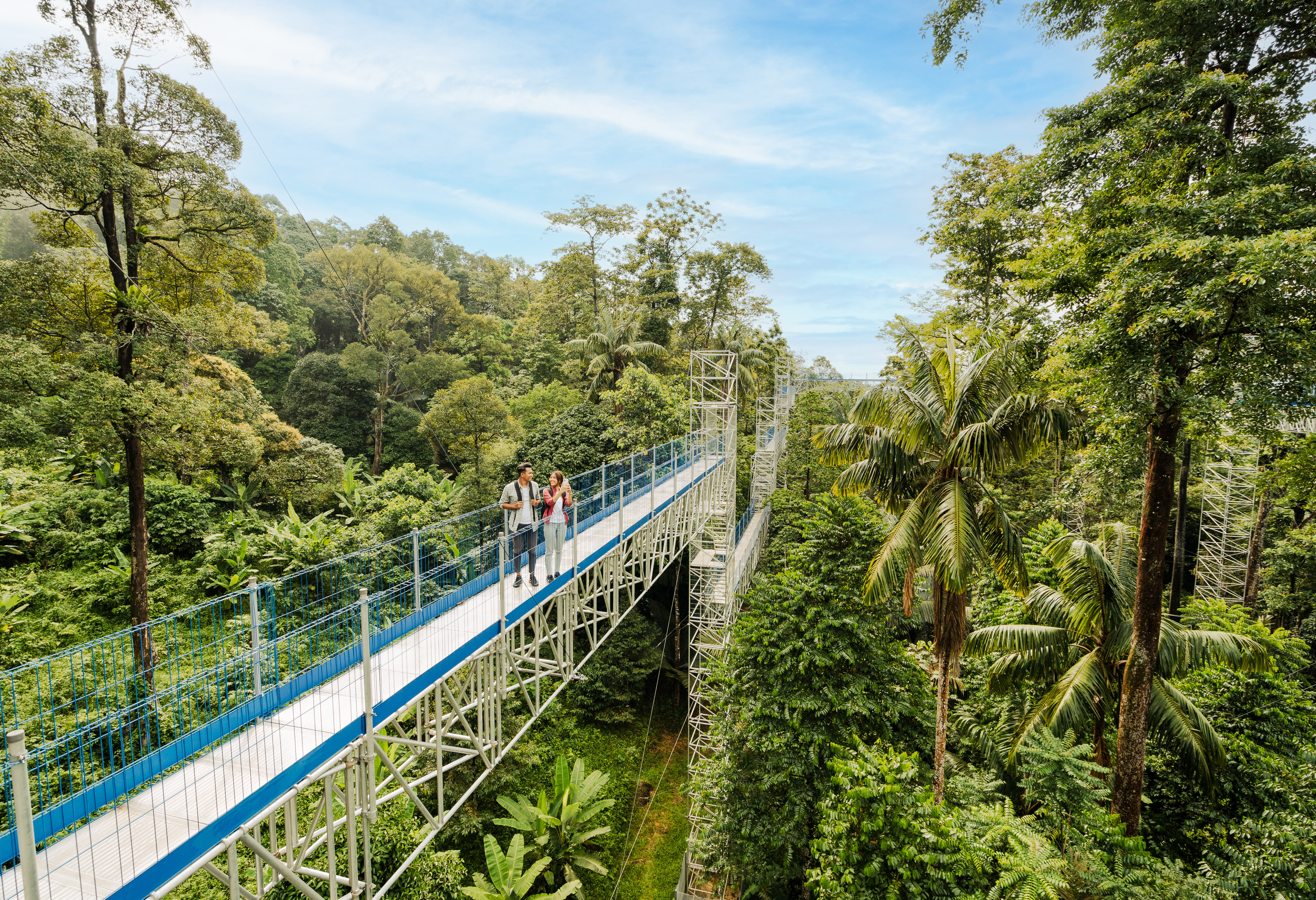 FRIM Skywalk bij Kuala Lumpur