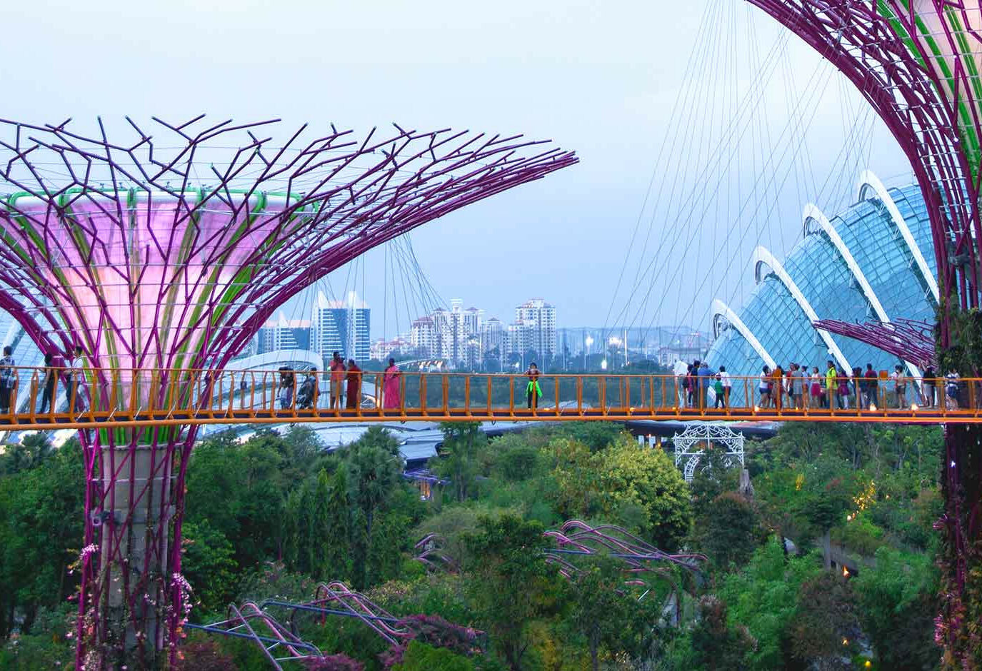 Supertrees bij Gardens by the Bay in Singapore
