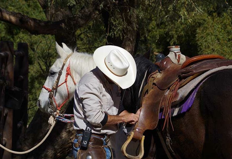 Amerika Arizona White Stallion Ranch Paard