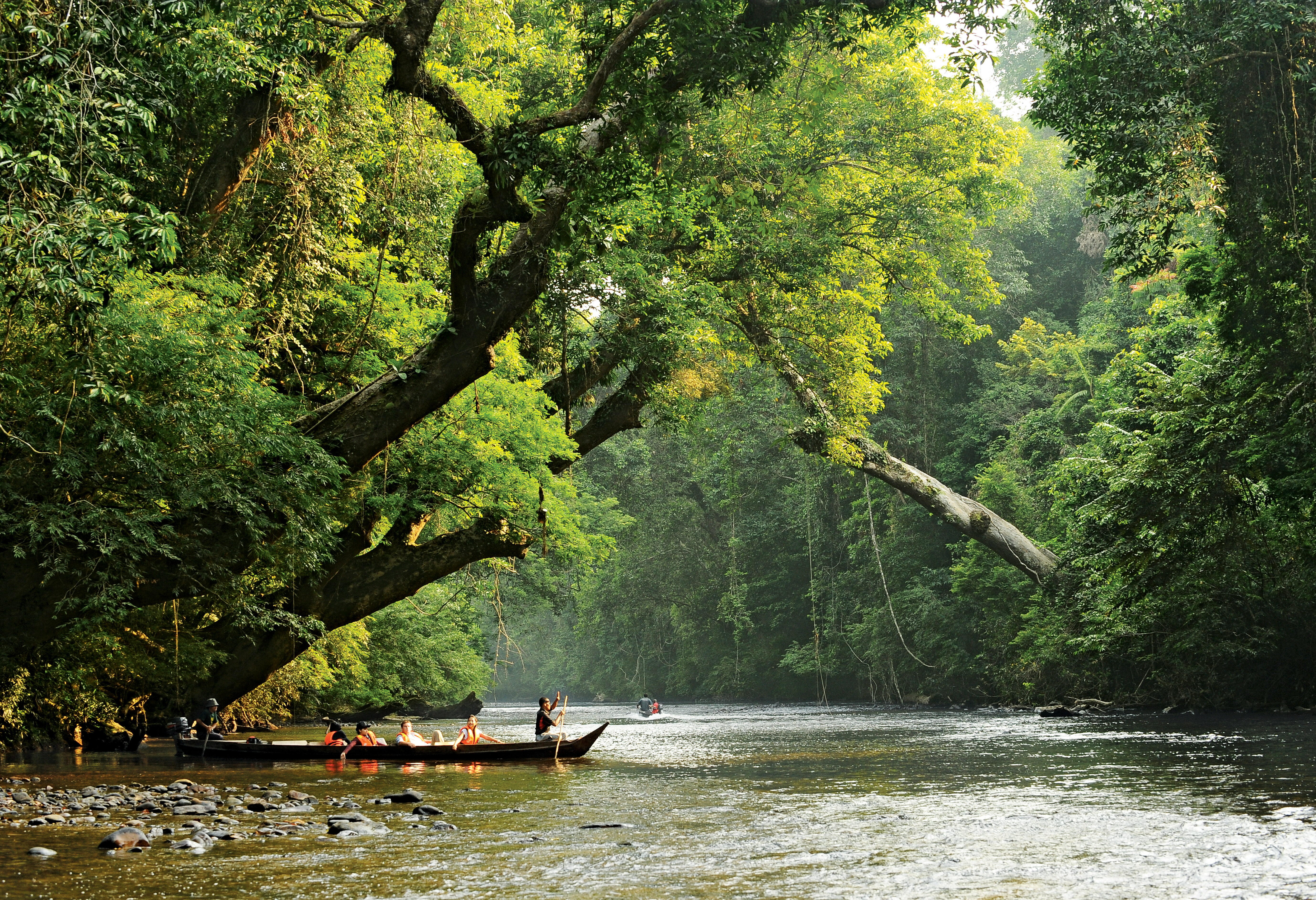 Boottocht naar Lata Berkoh bij Taman Negara