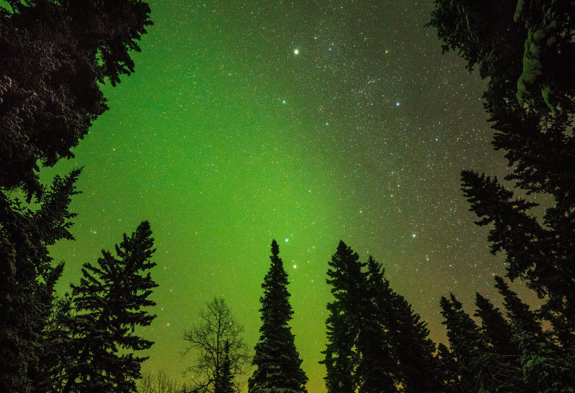 Jasper Dark Sky Preserve