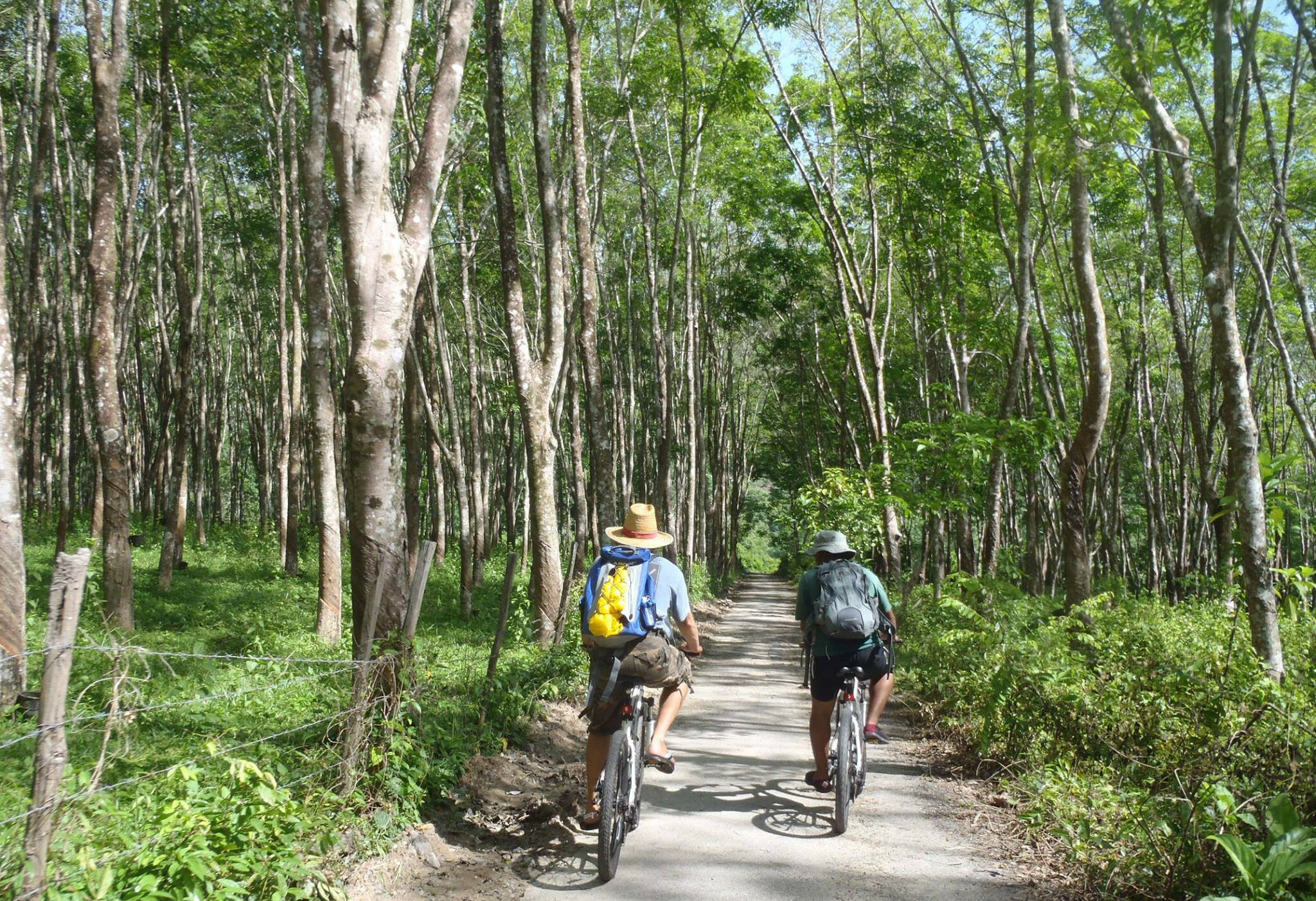 Fietsen op Langkawi