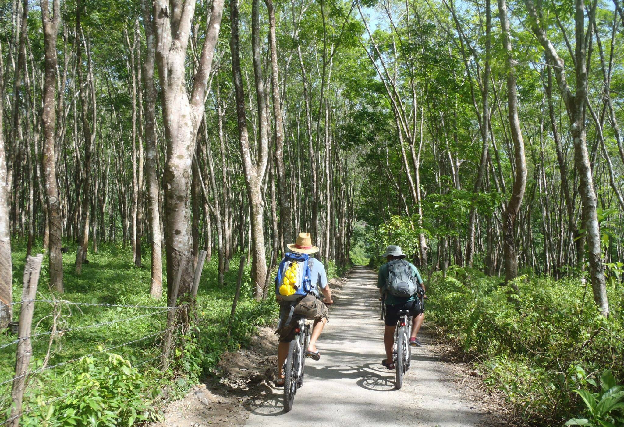 Fietsen op Langkawi