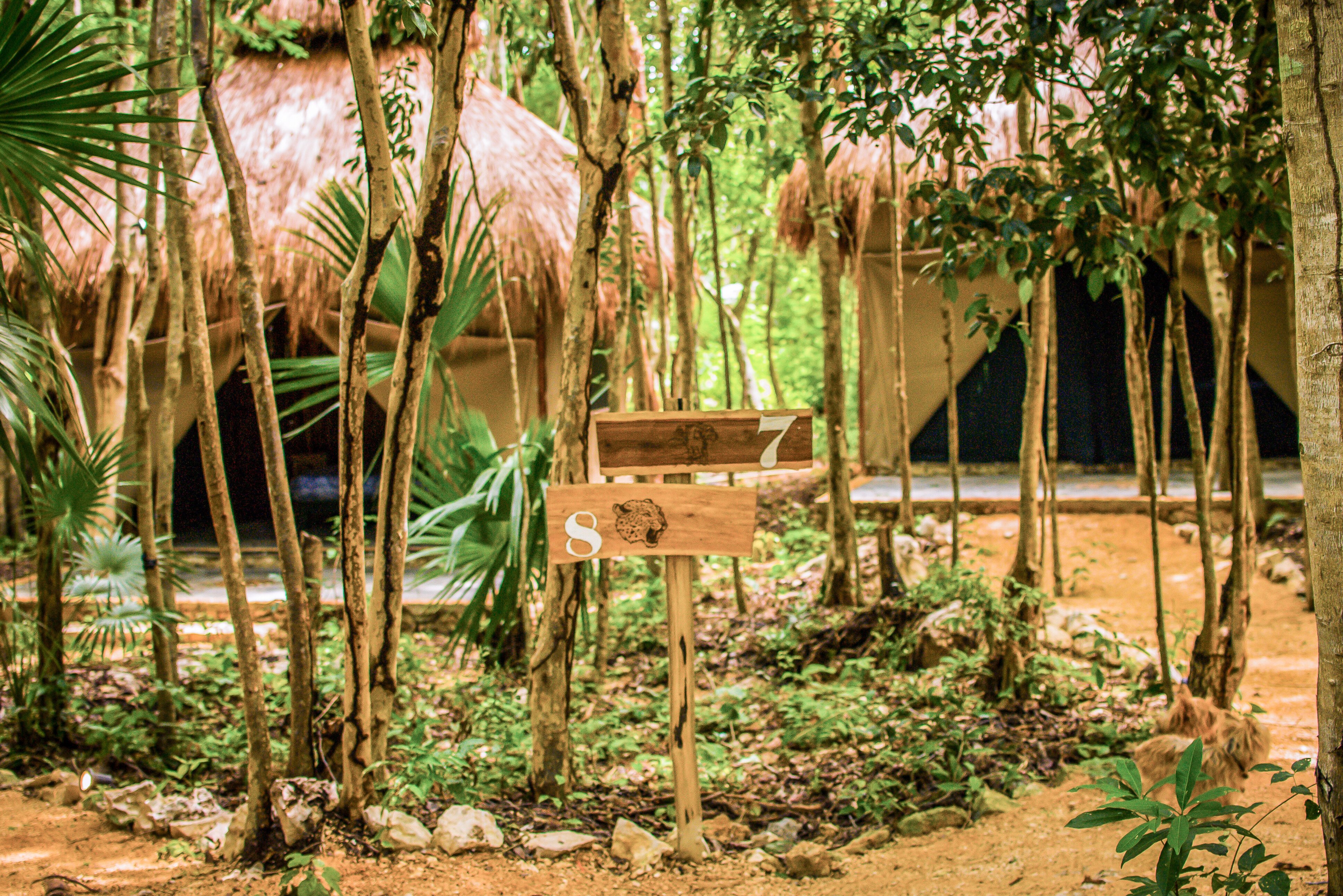 Mexico Akumal Natura Glamping Tuinen