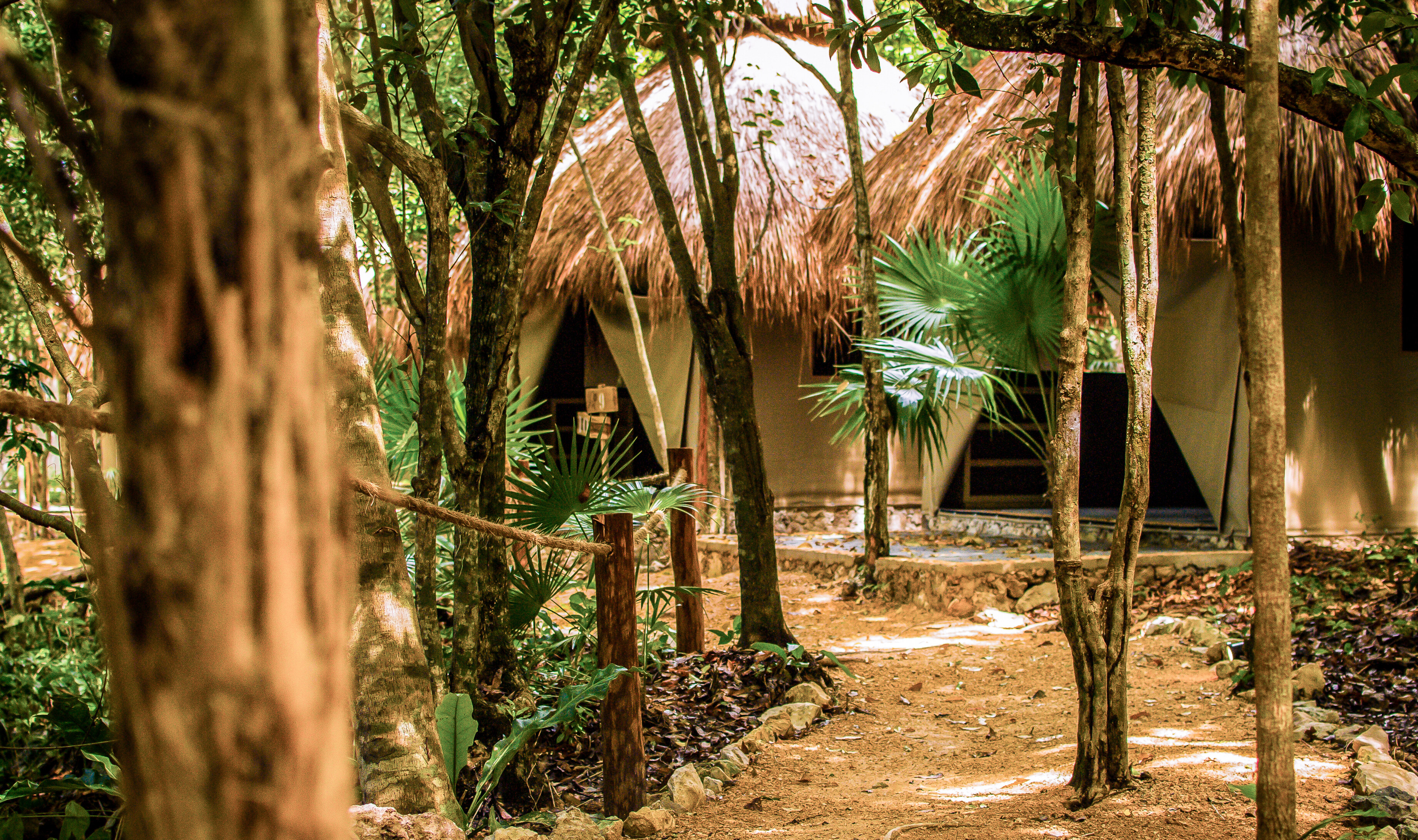 Mexico Akumal Natura Glamping SIngle Bed Tent