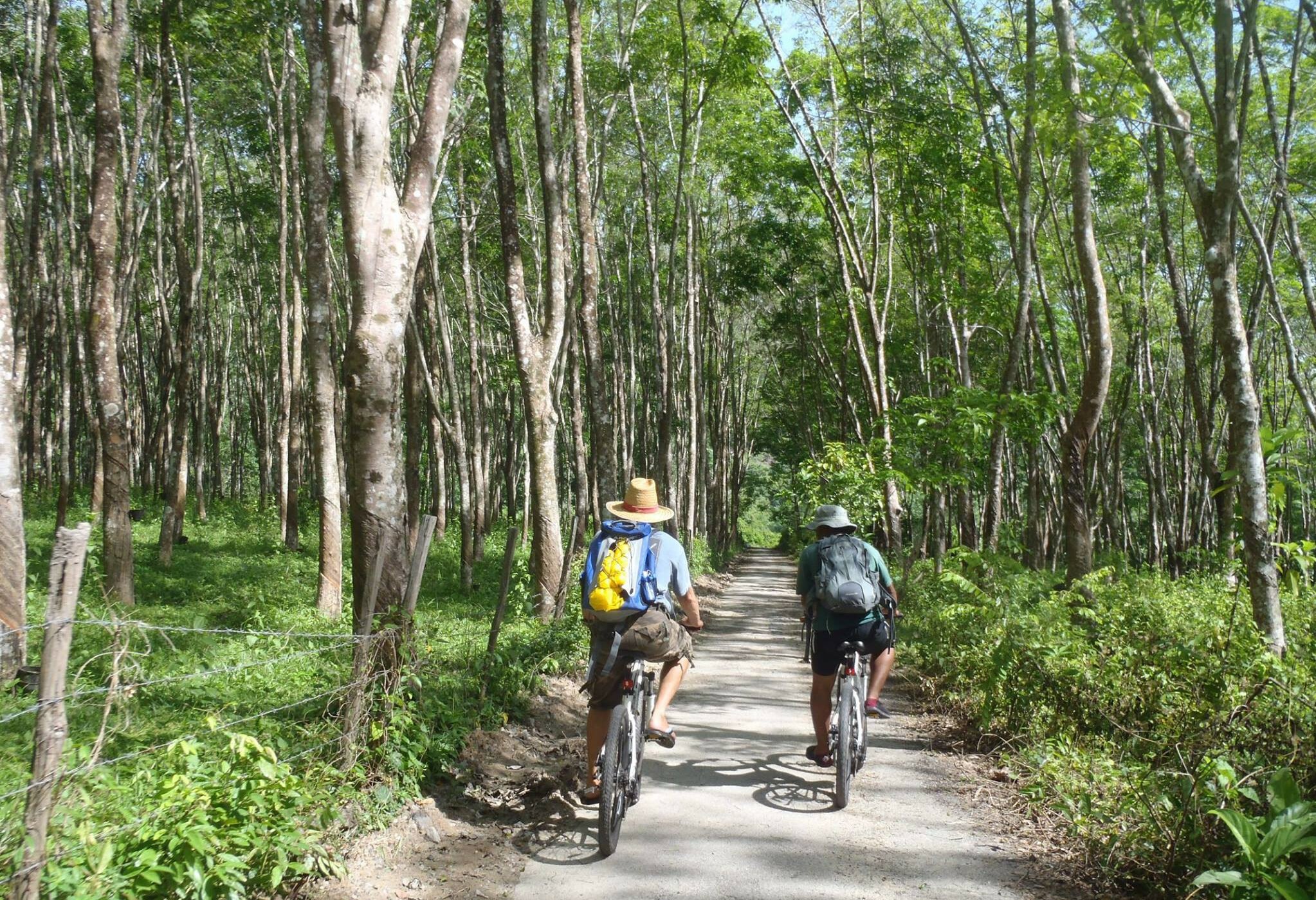 Fietsen op Langkawi