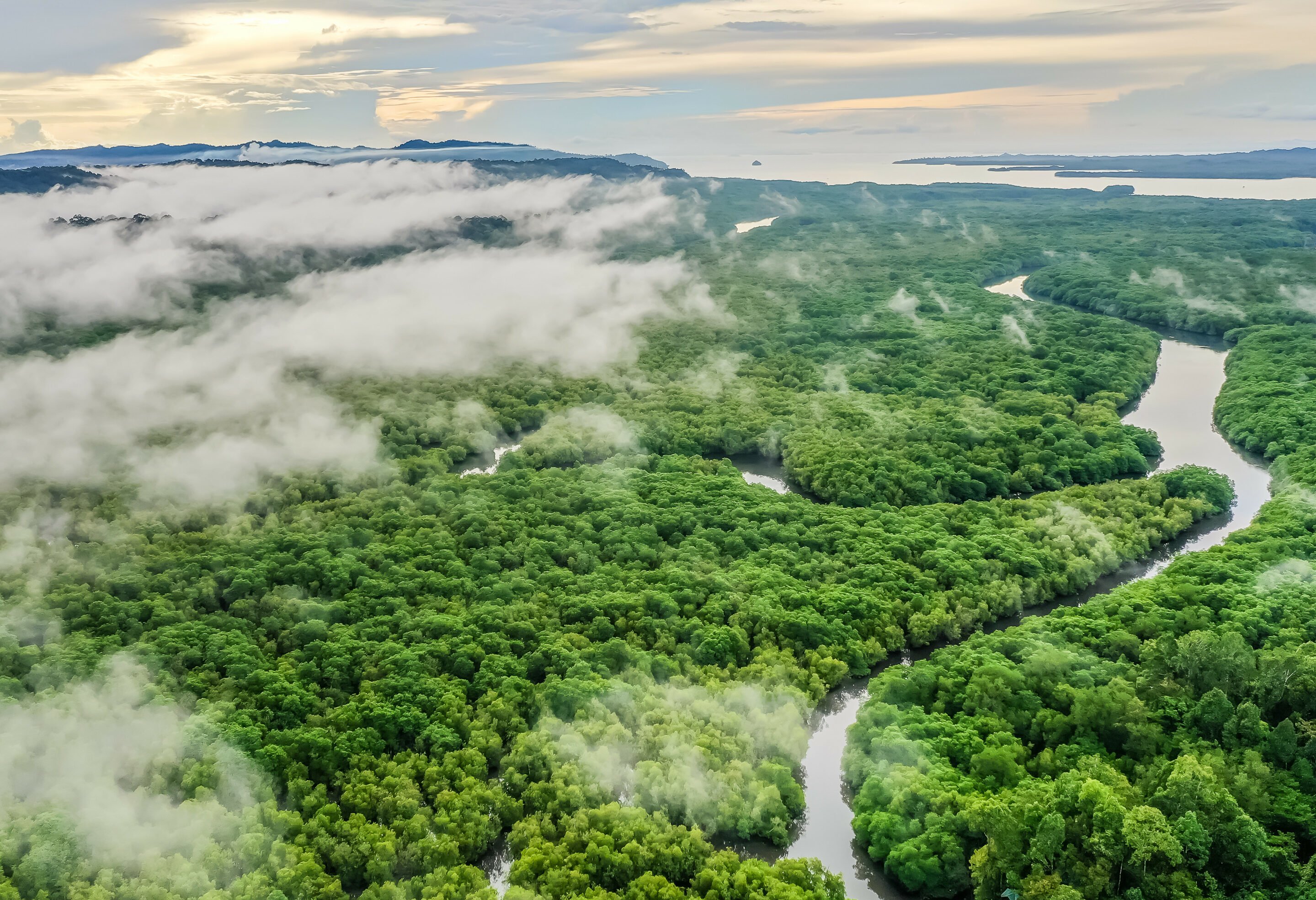 Kinabatangan rivier in Sabah