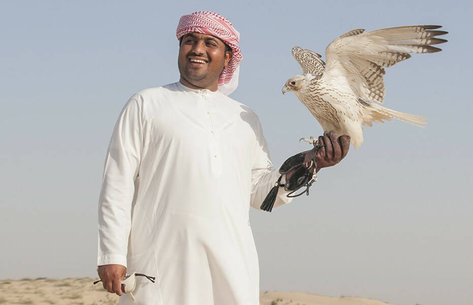 Falcon Souq Qatar