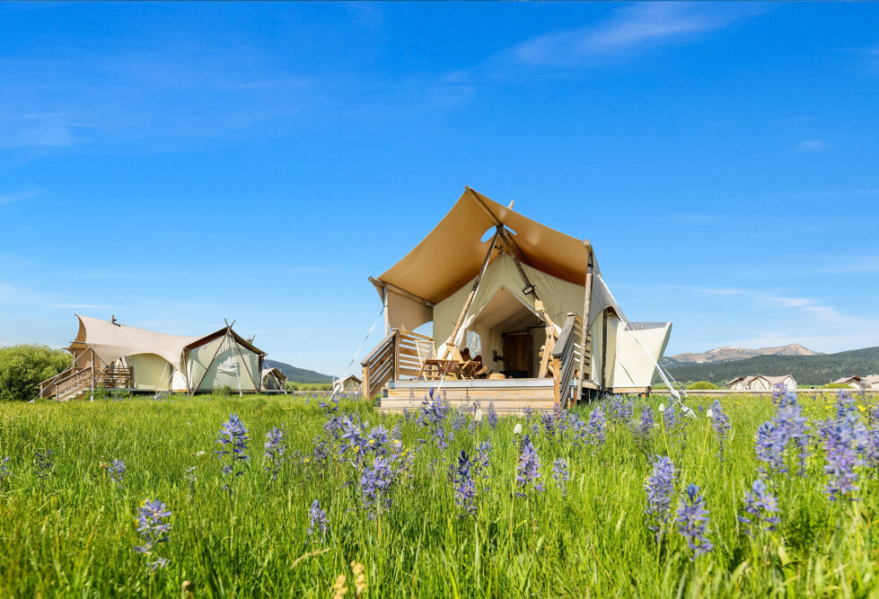 amerika yellowstone under canvas weide tenten