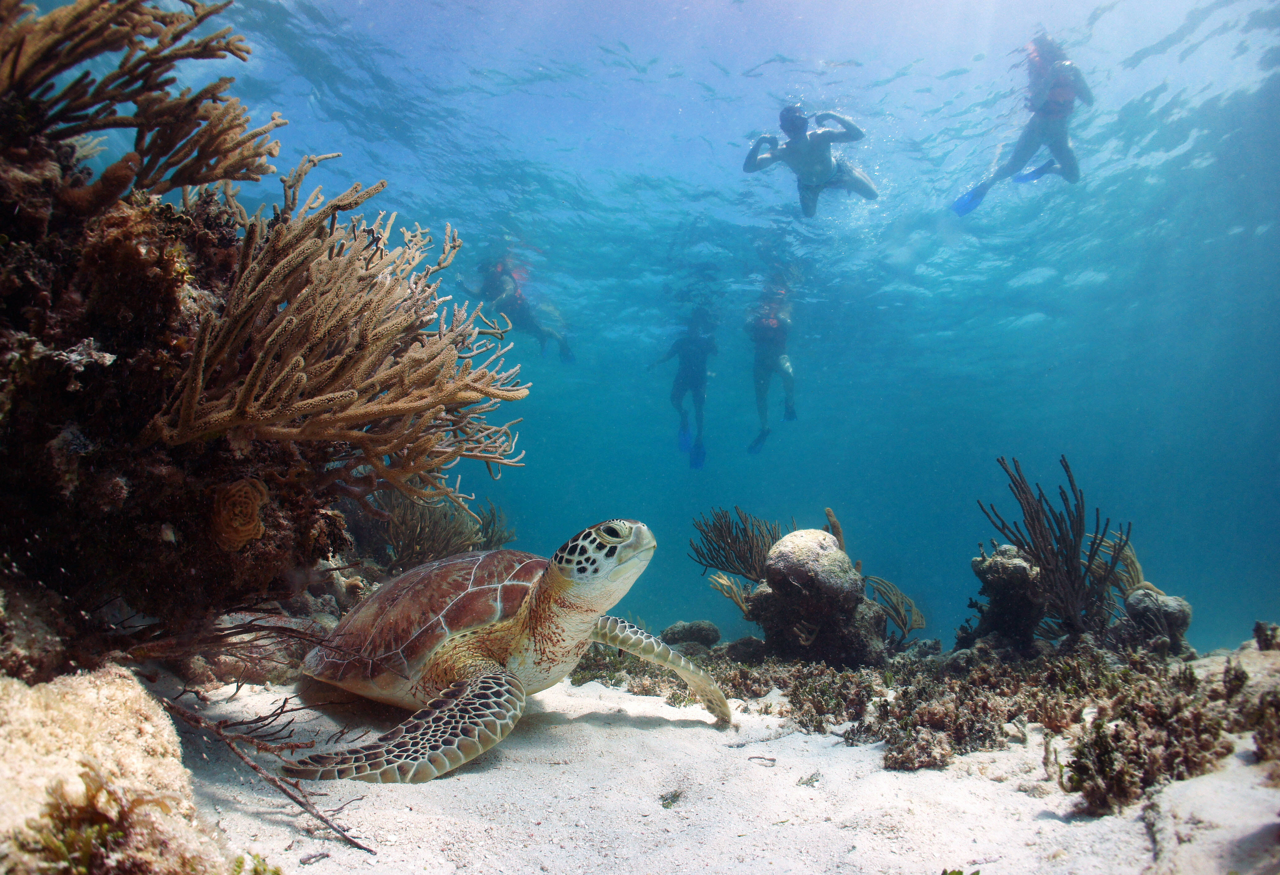 Mexico Riviera Maya Strandvakantie