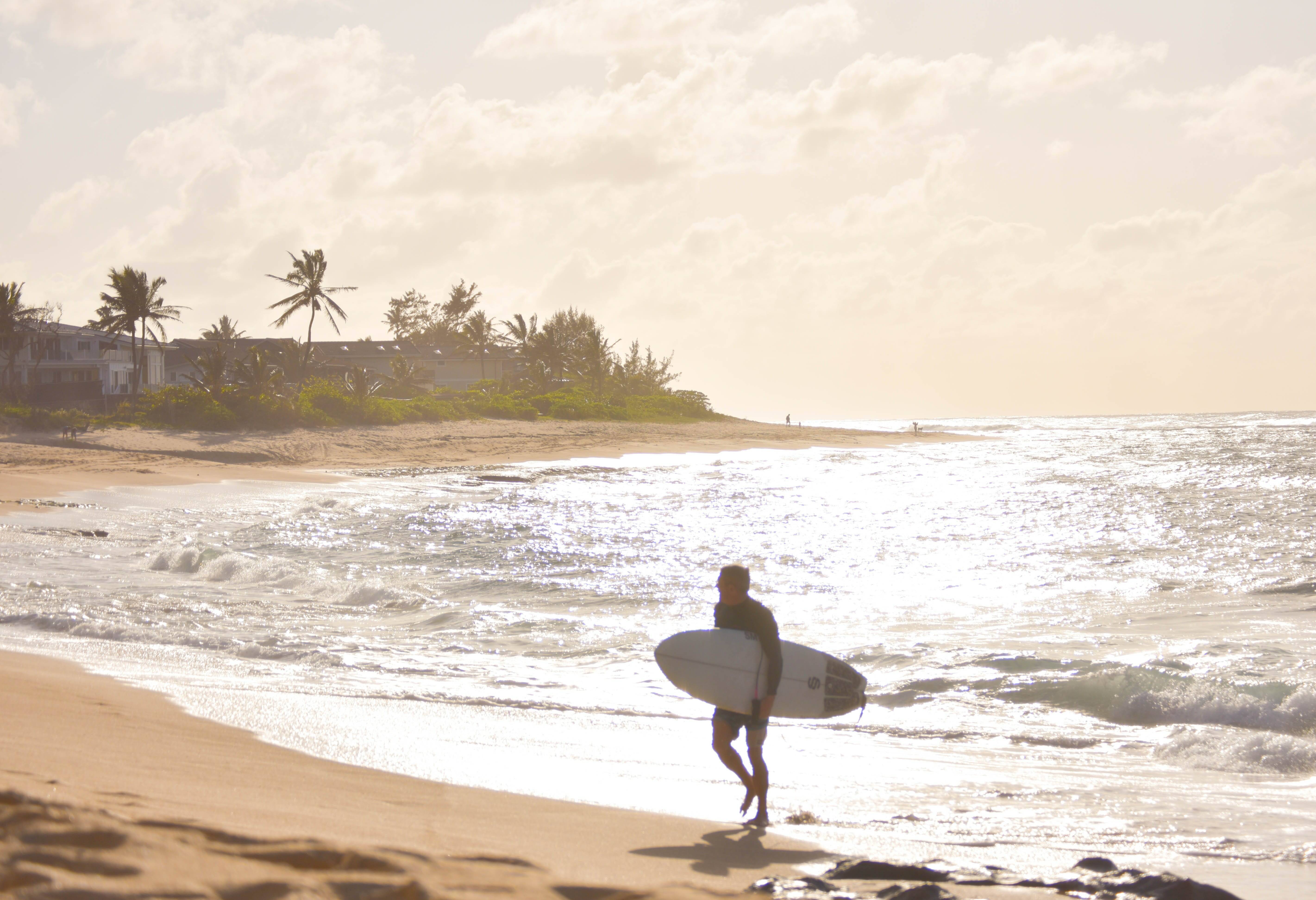 Amerika Hawaii Surfer Oahu