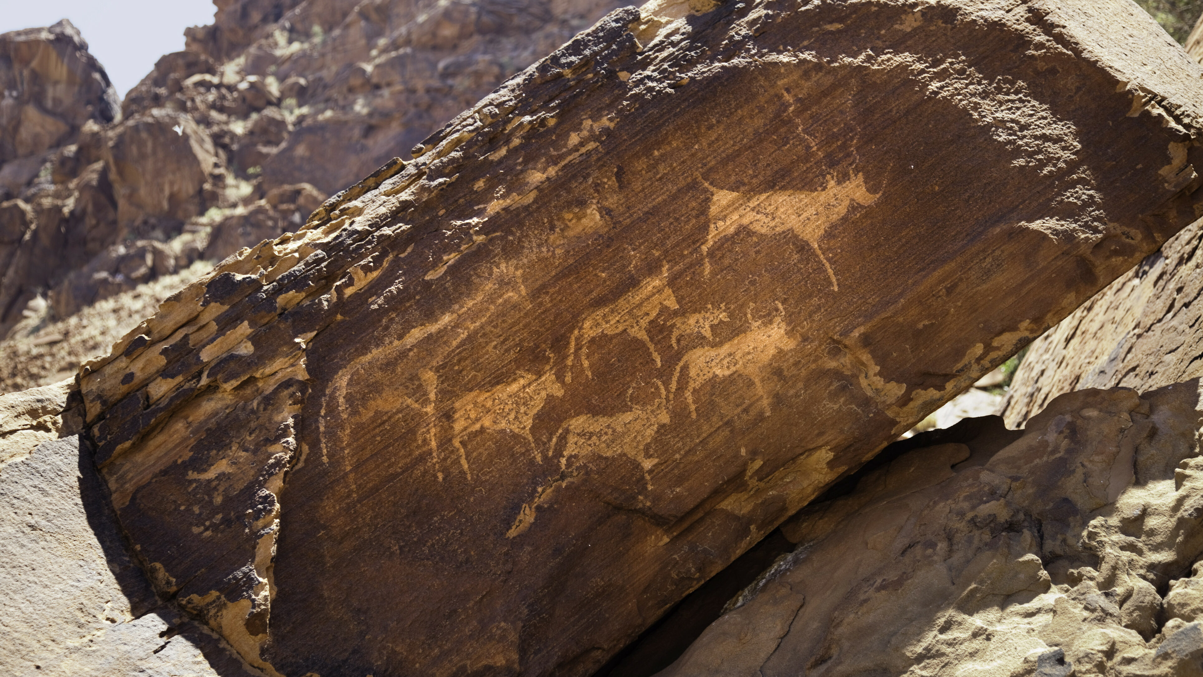 Twyfelfontein rontstekeningen Damaraland Namibië