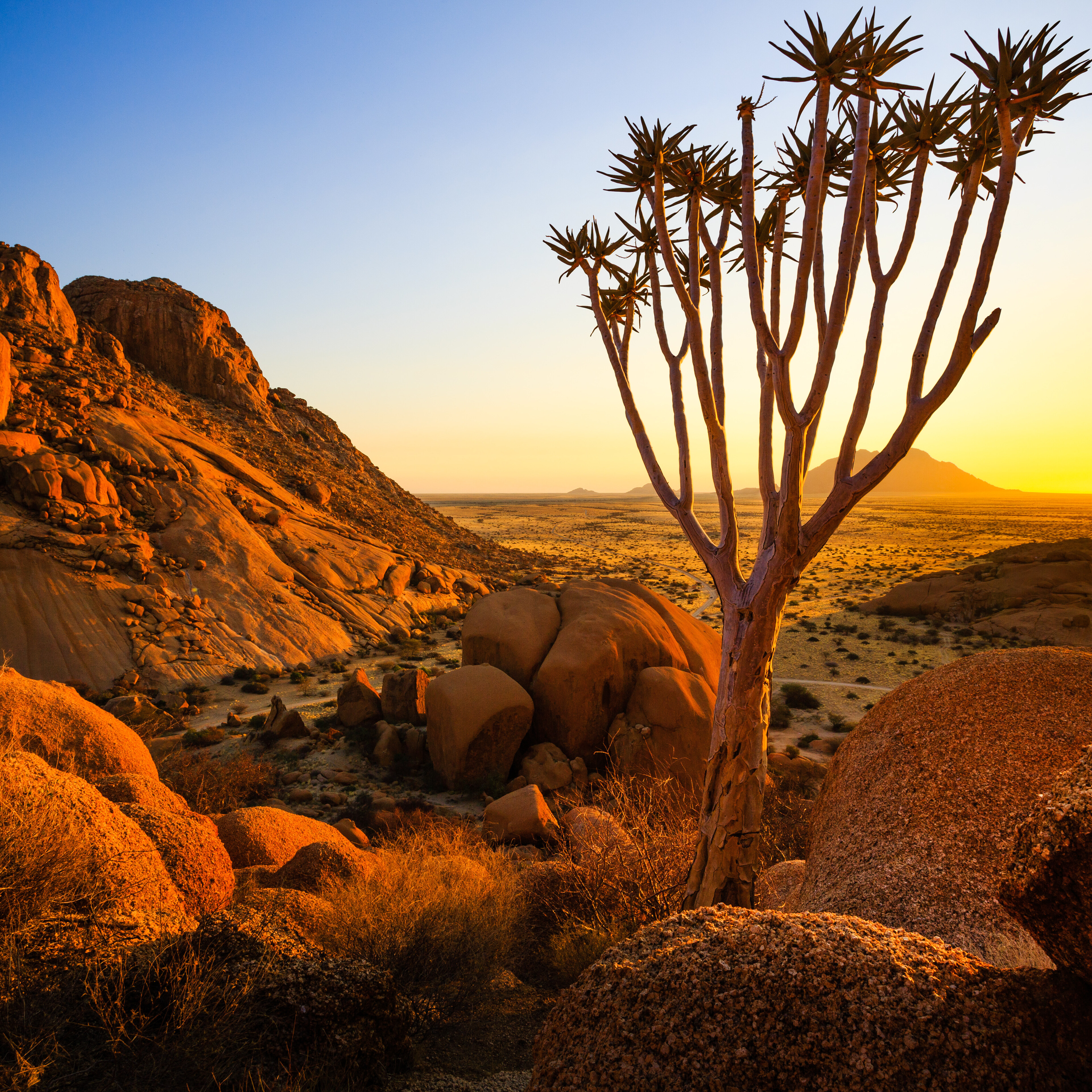 Damaraland