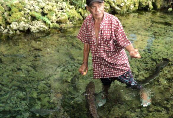 Palingen bij het dorp Larike op Ambon in de Molukken