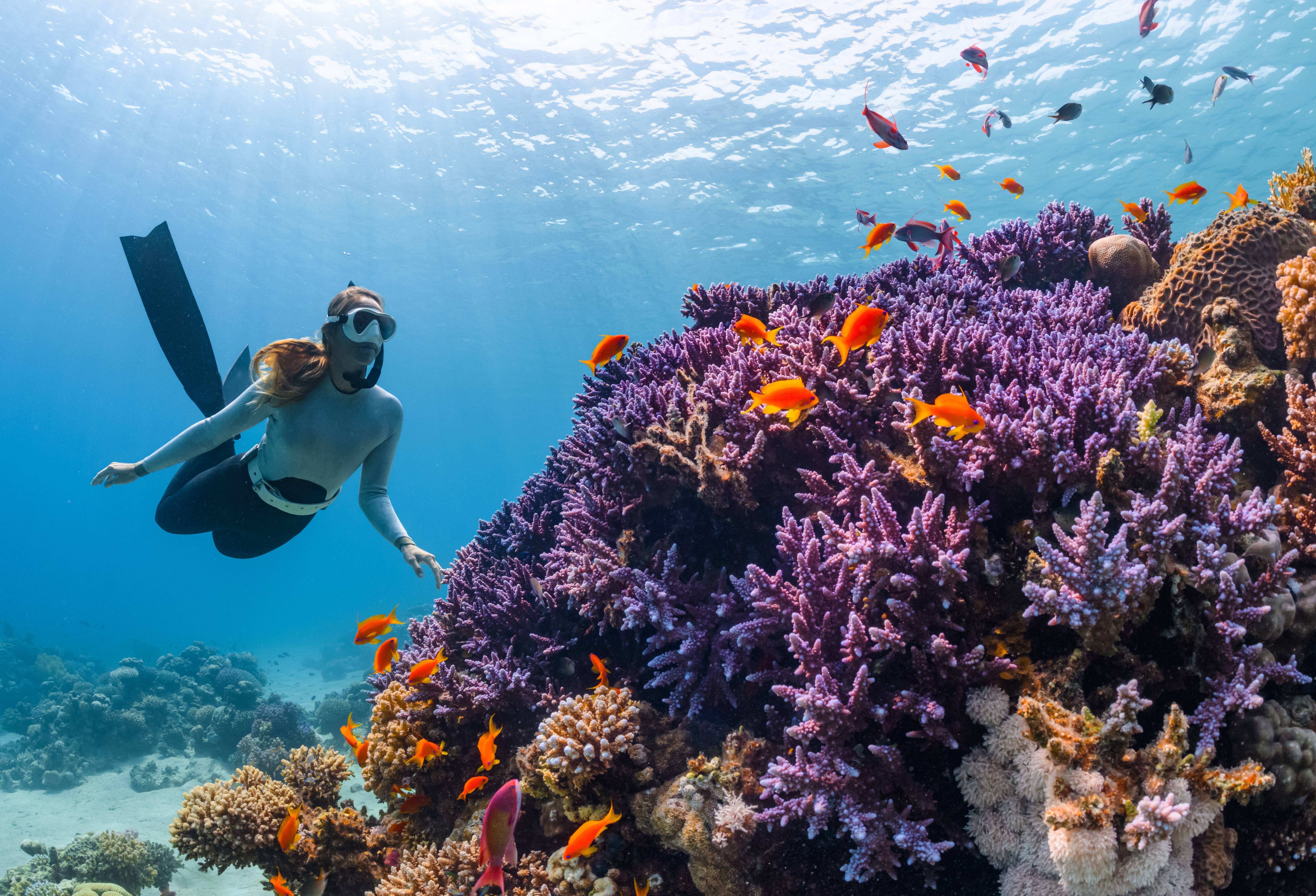 Saoedi-Arabie-rode-zee-snorkelen-2