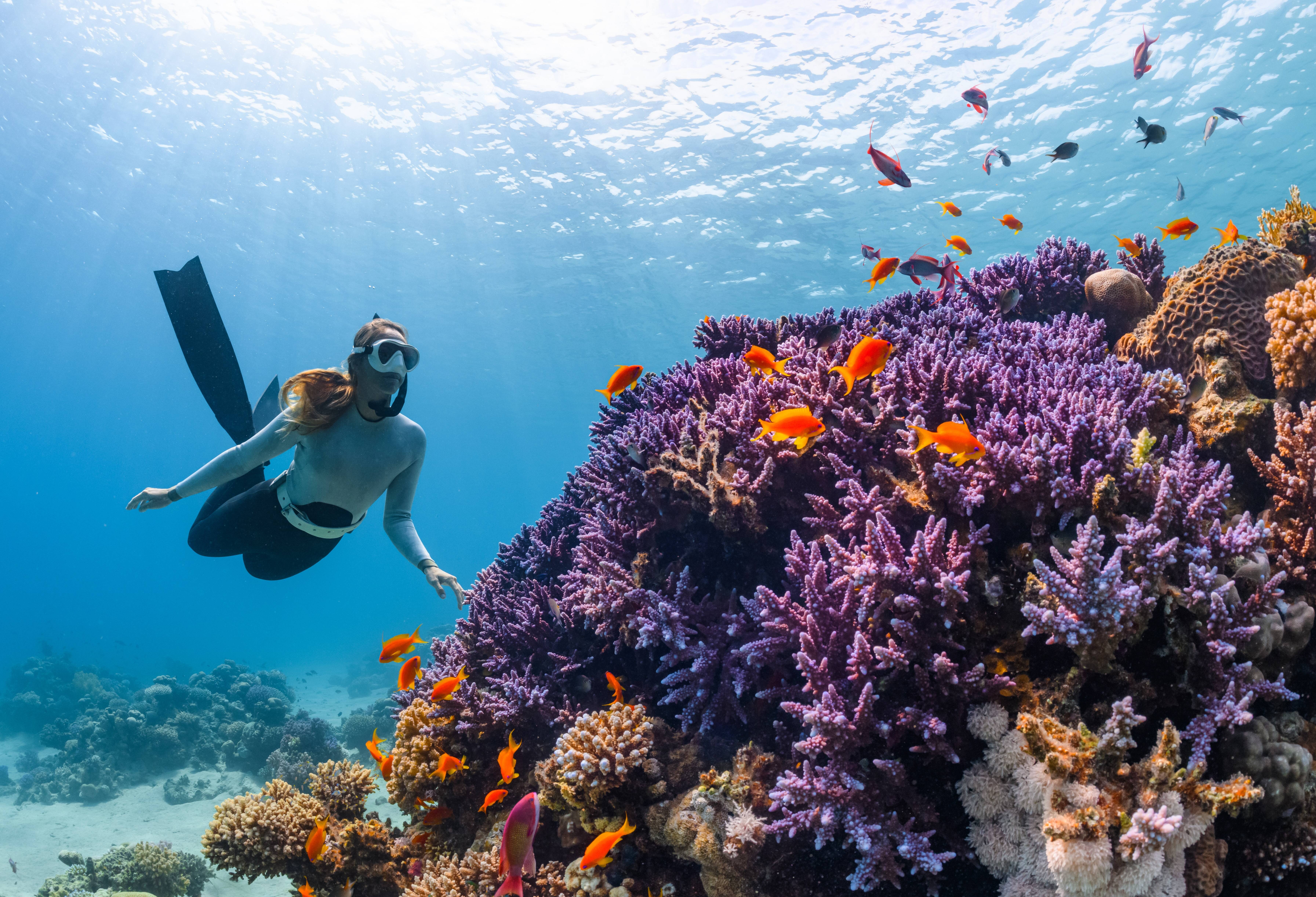 Vrouw aan het snorkelen in rode zee Jeddah