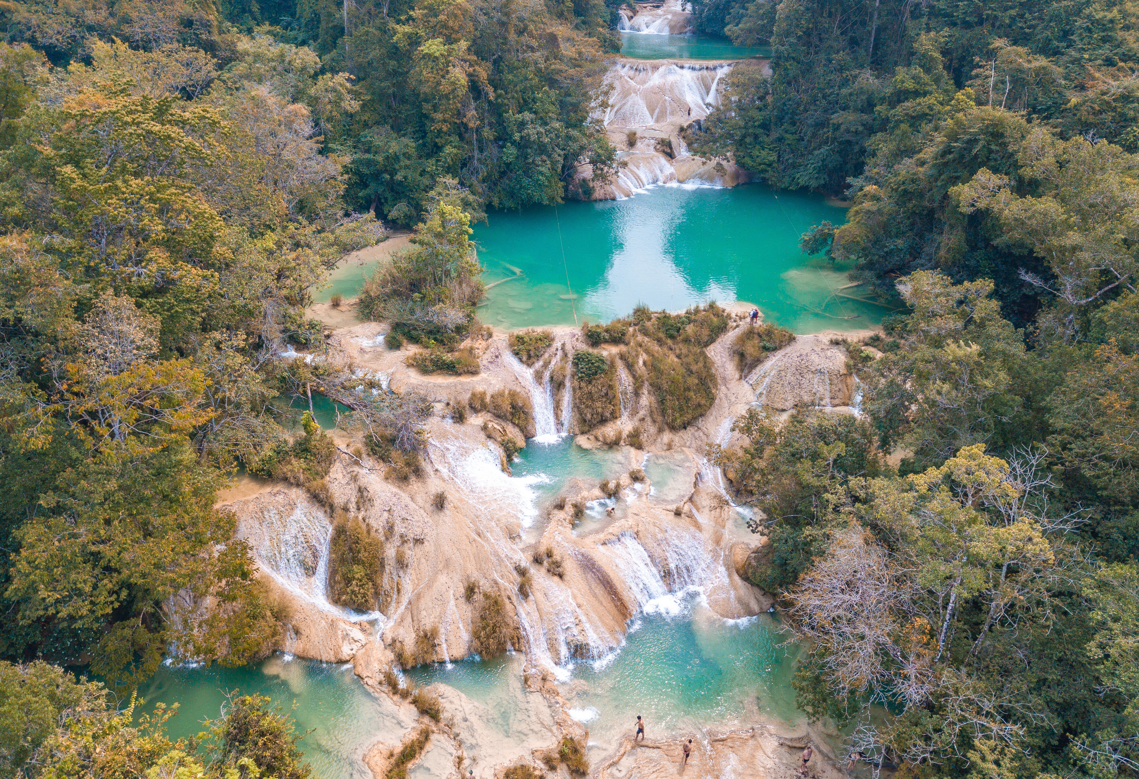 Watervallen van Roberto Barrios bij Palenque