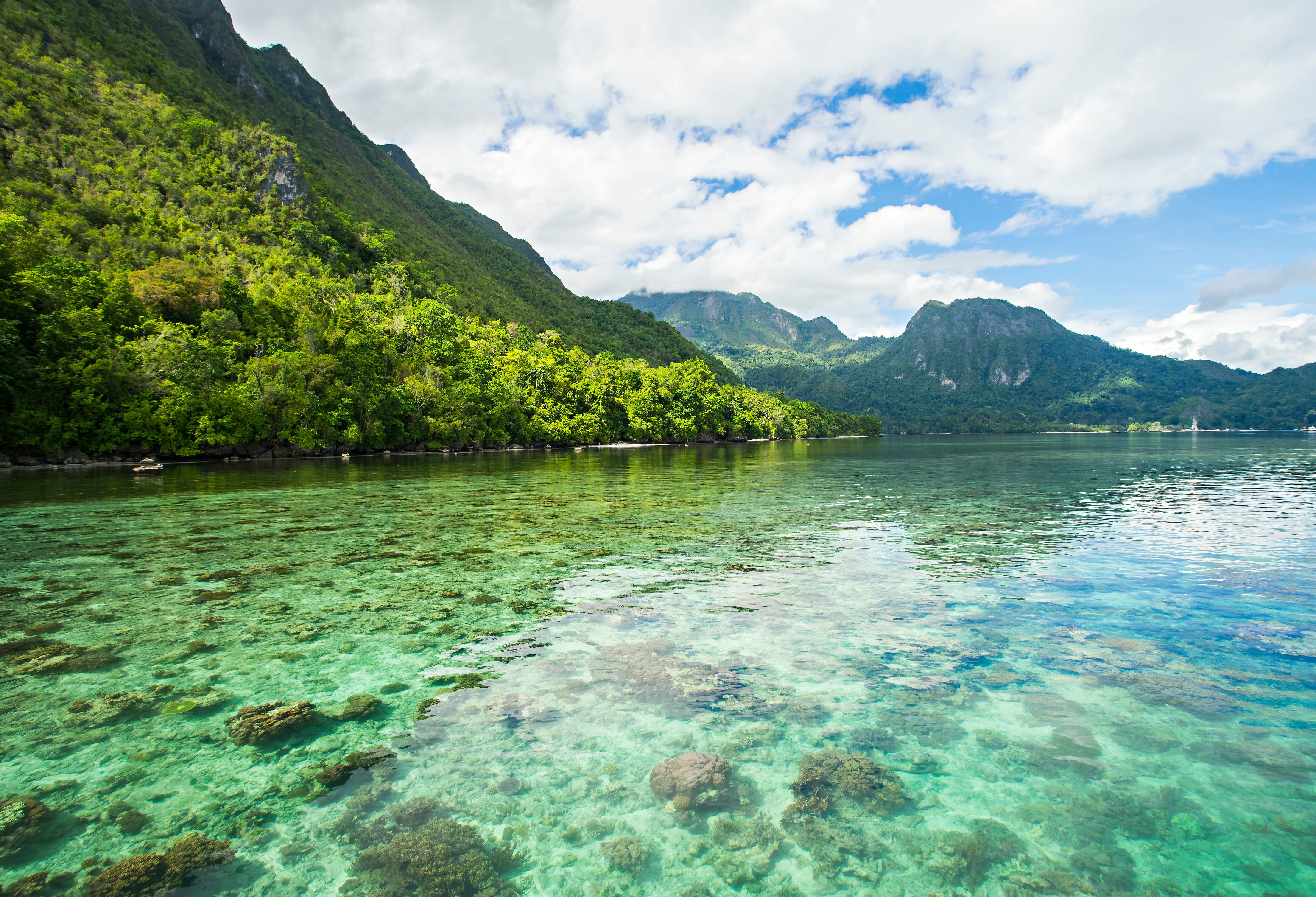 Het Manusela National Park op het eiland Seram in de Molukken