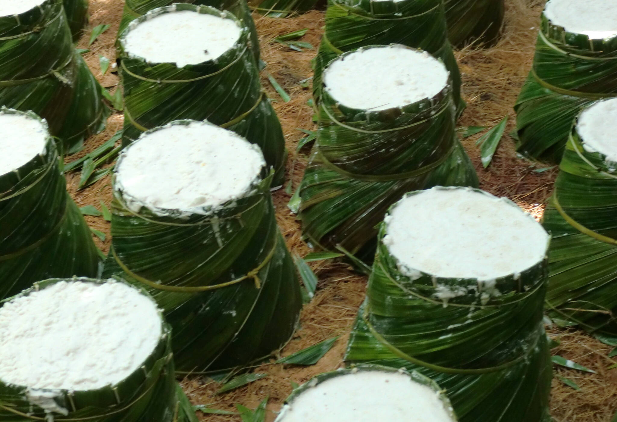 Bewerking van sago op Saparua in de Molukken