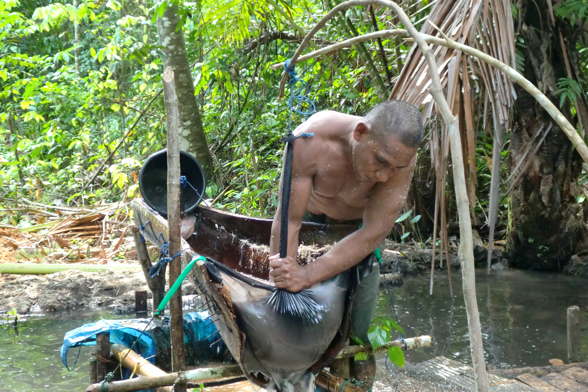 Sago verwerken op Saparua in de Molukken