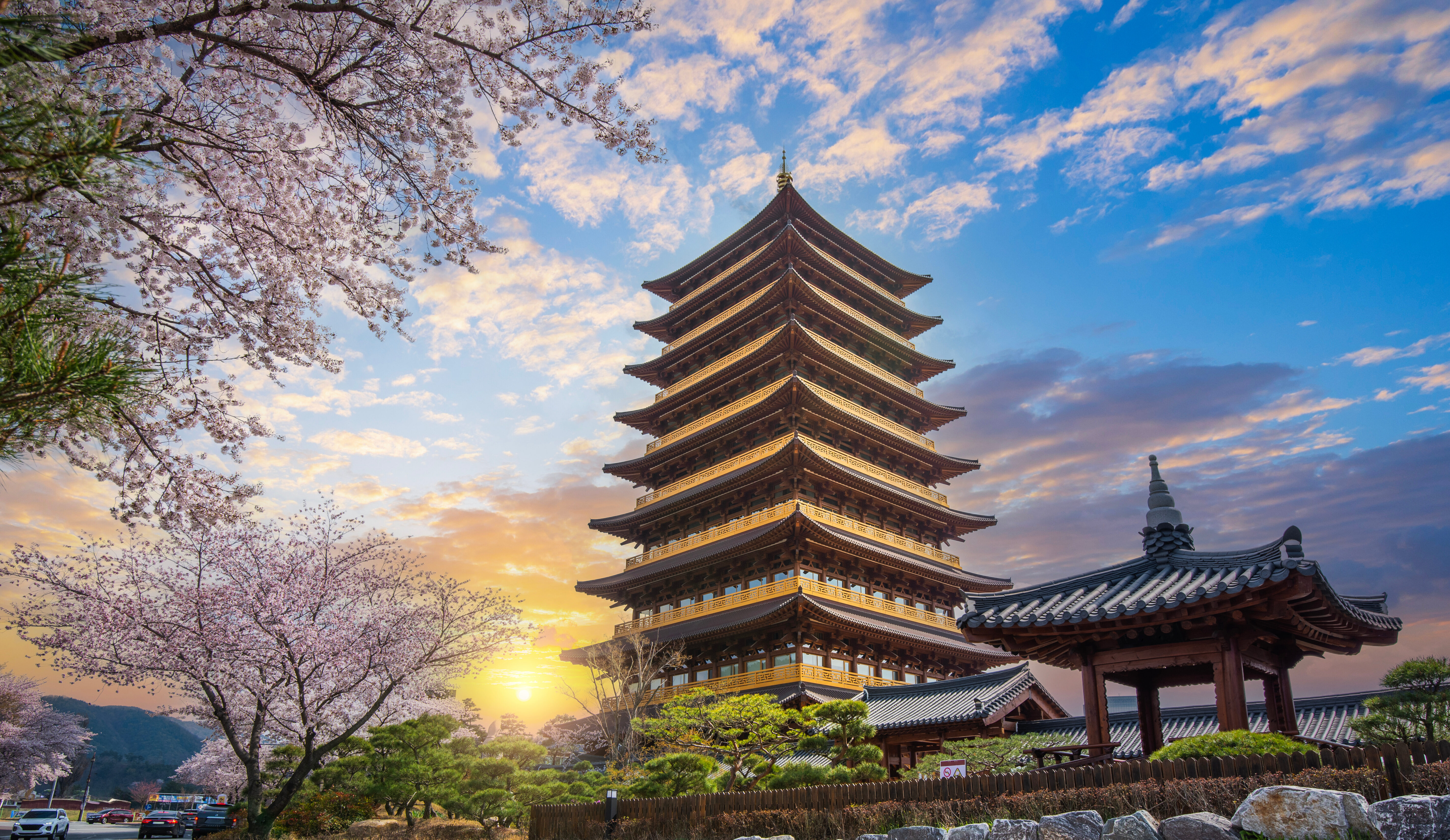 Zuid-Kores-Gyeongiu-Bloesem