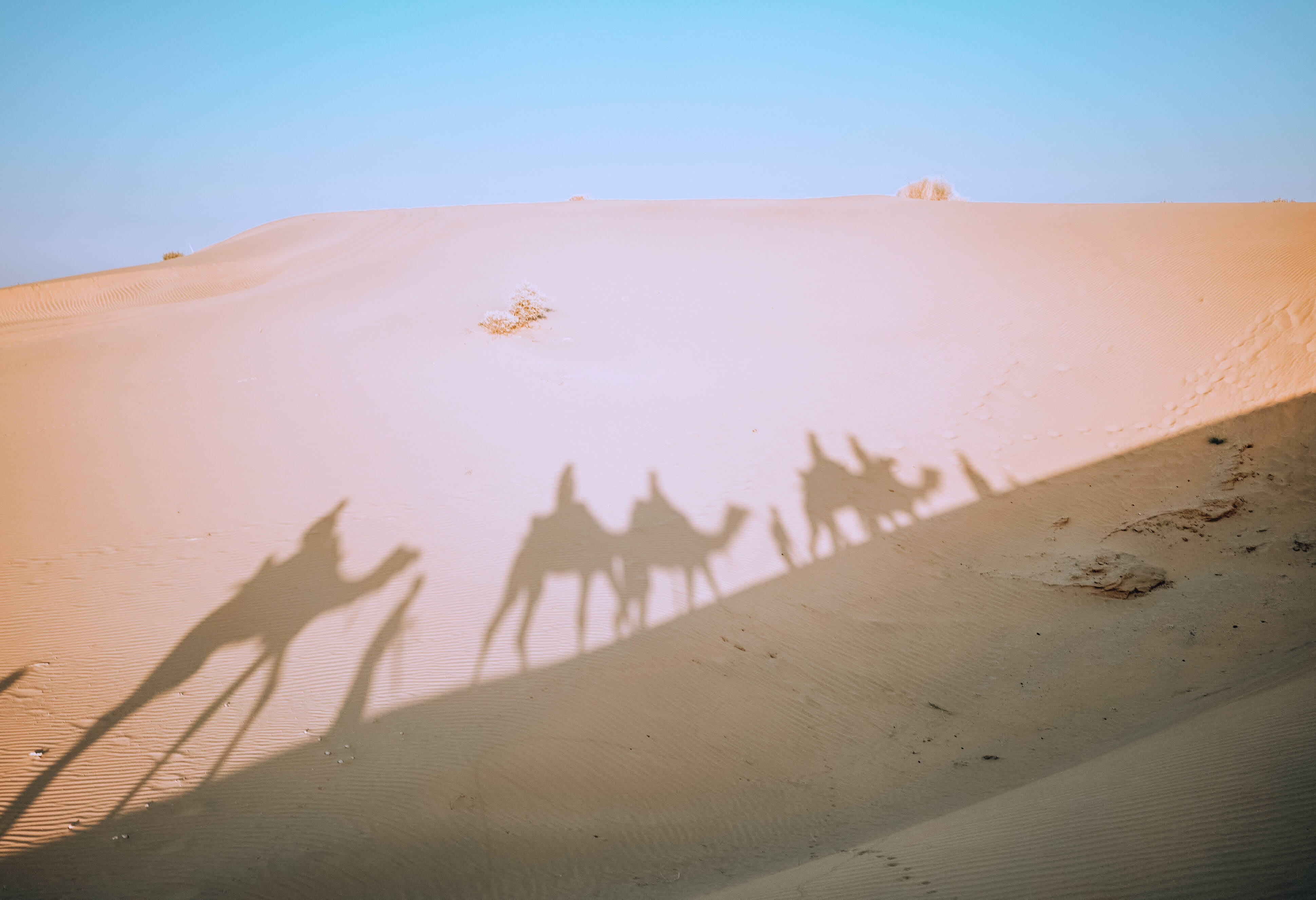 Zandduinen in de woestijn van Jaisalmer