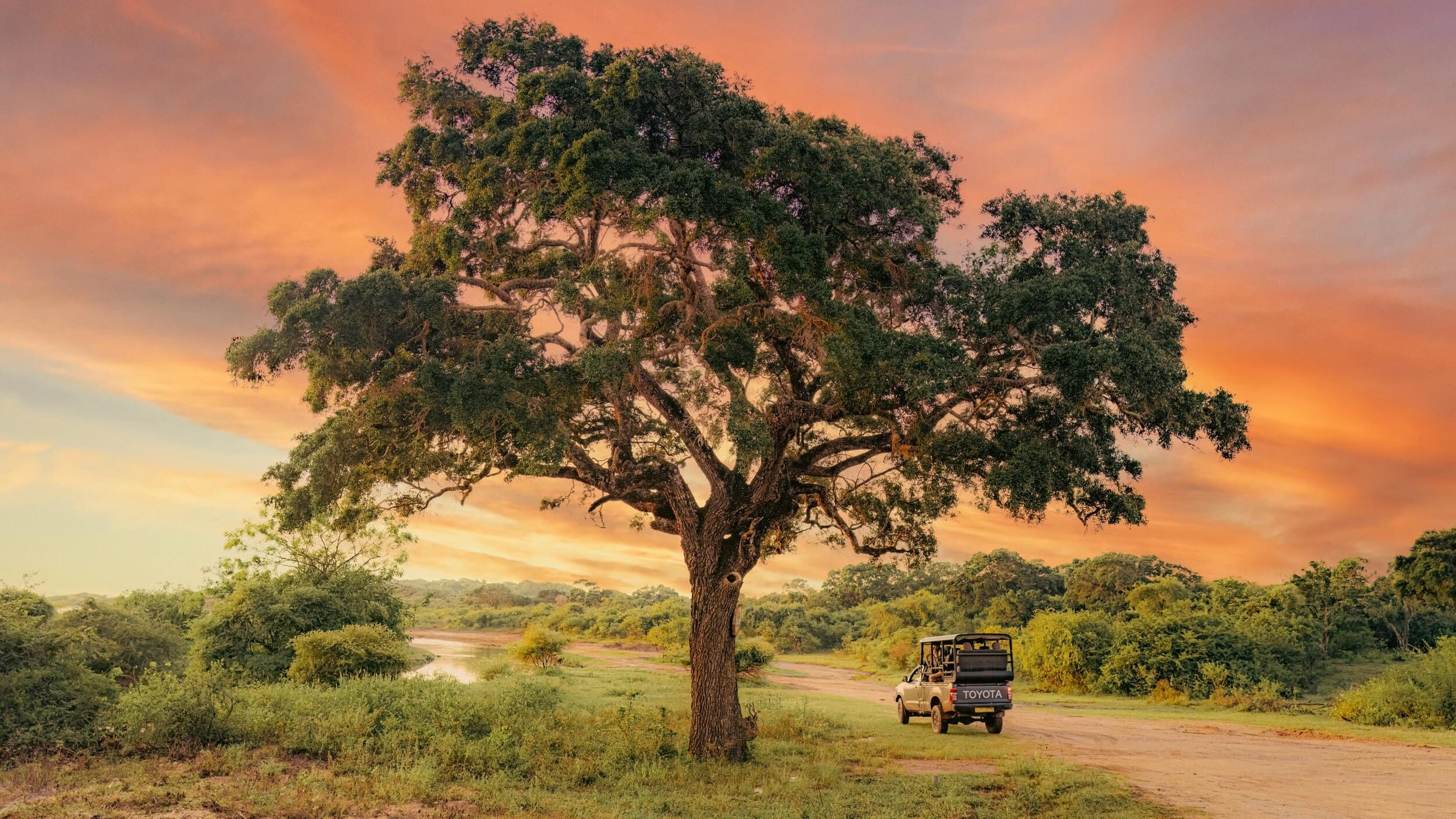 Yala National Park