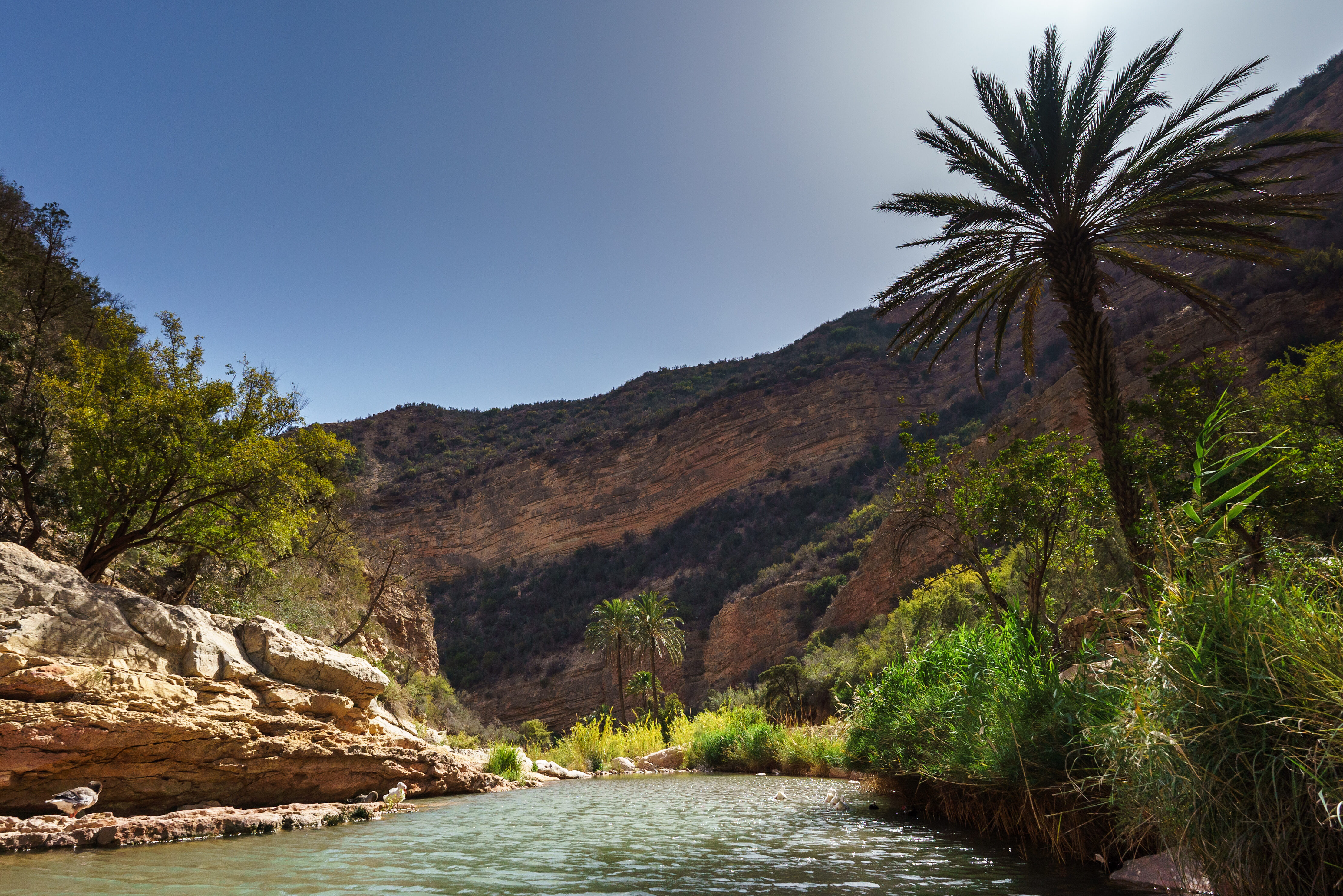 Paradise Valley vanuit Agadir