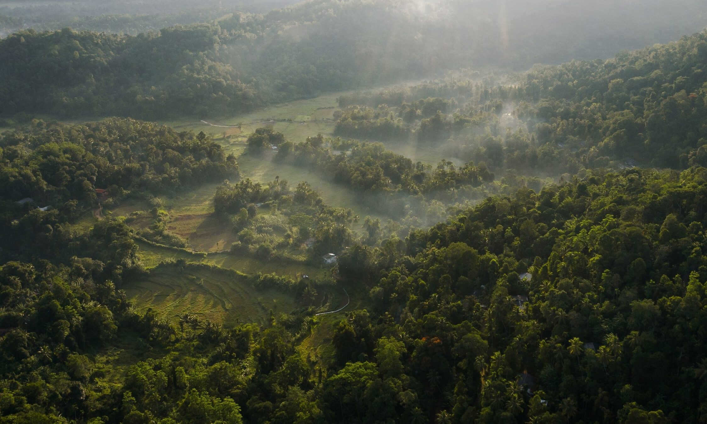 Sri-Lanka-Kandy-Aarunya-Nature-Resort-Omgeving