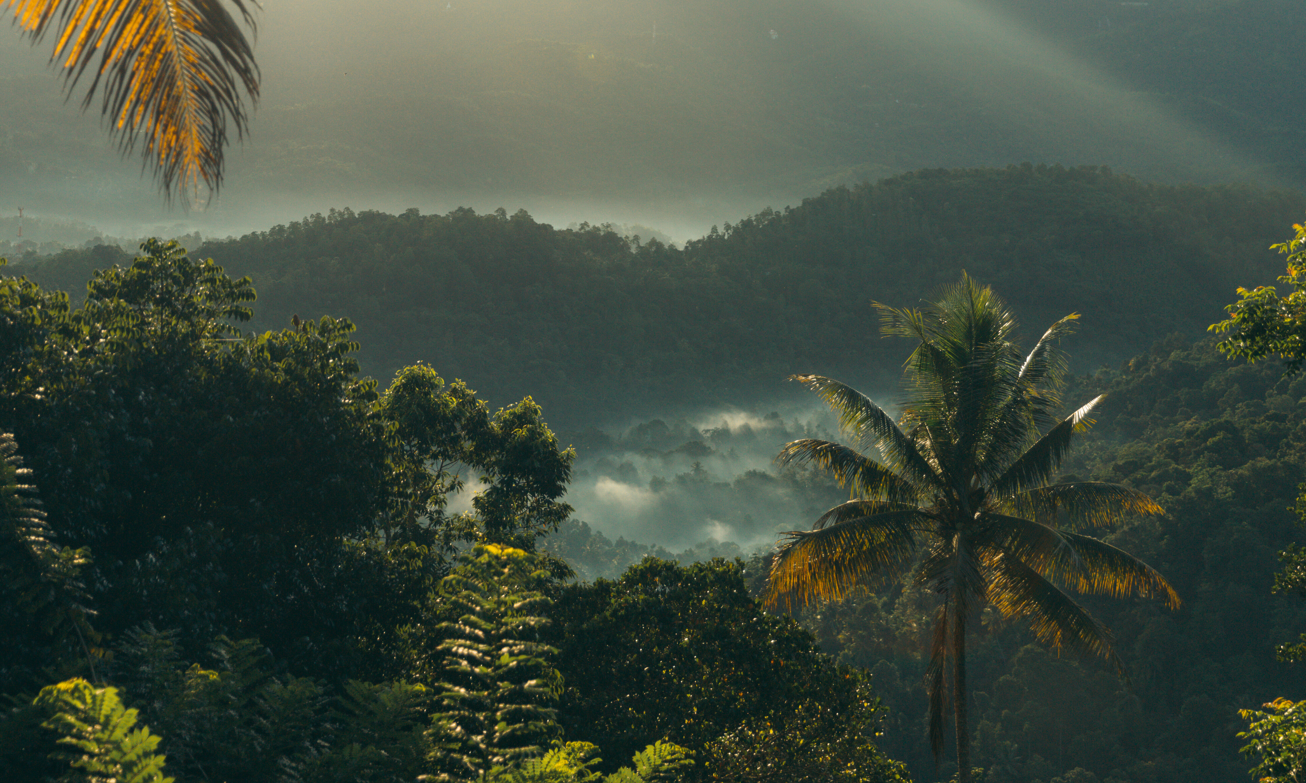 Sri-Lanka-Kandy-Aarunya-Nature-Resort-Uitzicht