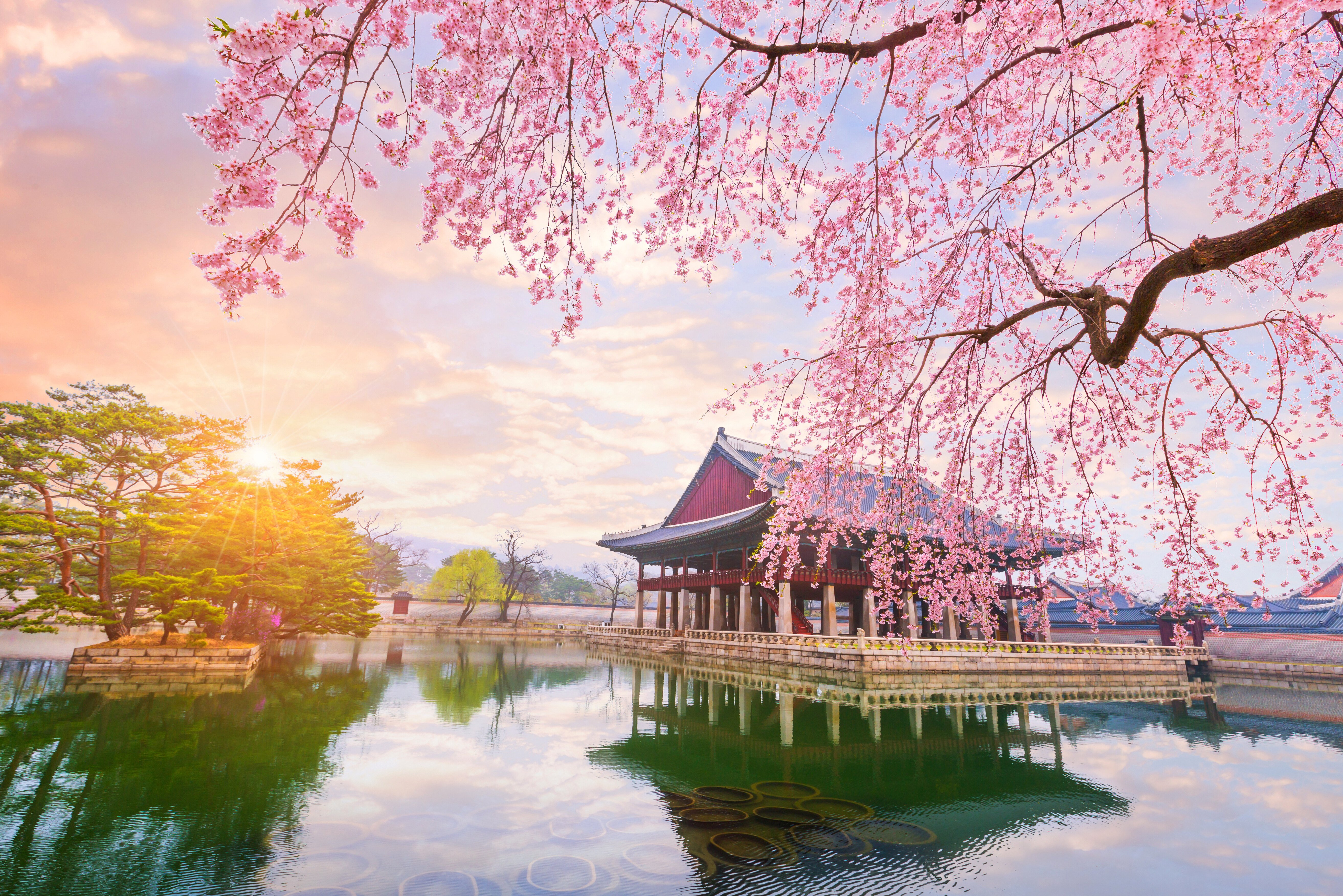 Tempel Seoul met bloesem