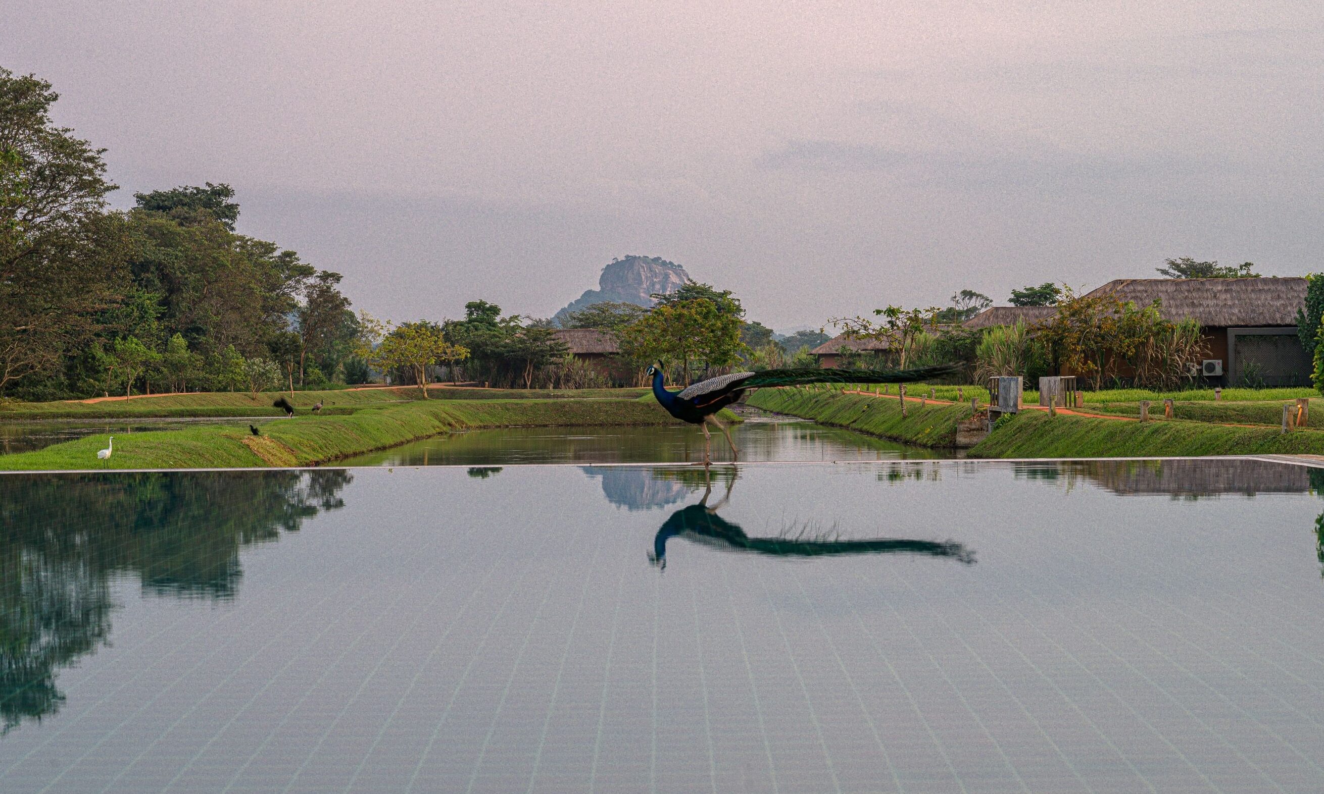 Sri-Lanka-Sigiriya-Water-Garden-Zwembadrand