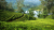 Sri-Lanka-Hatton-theeplantage