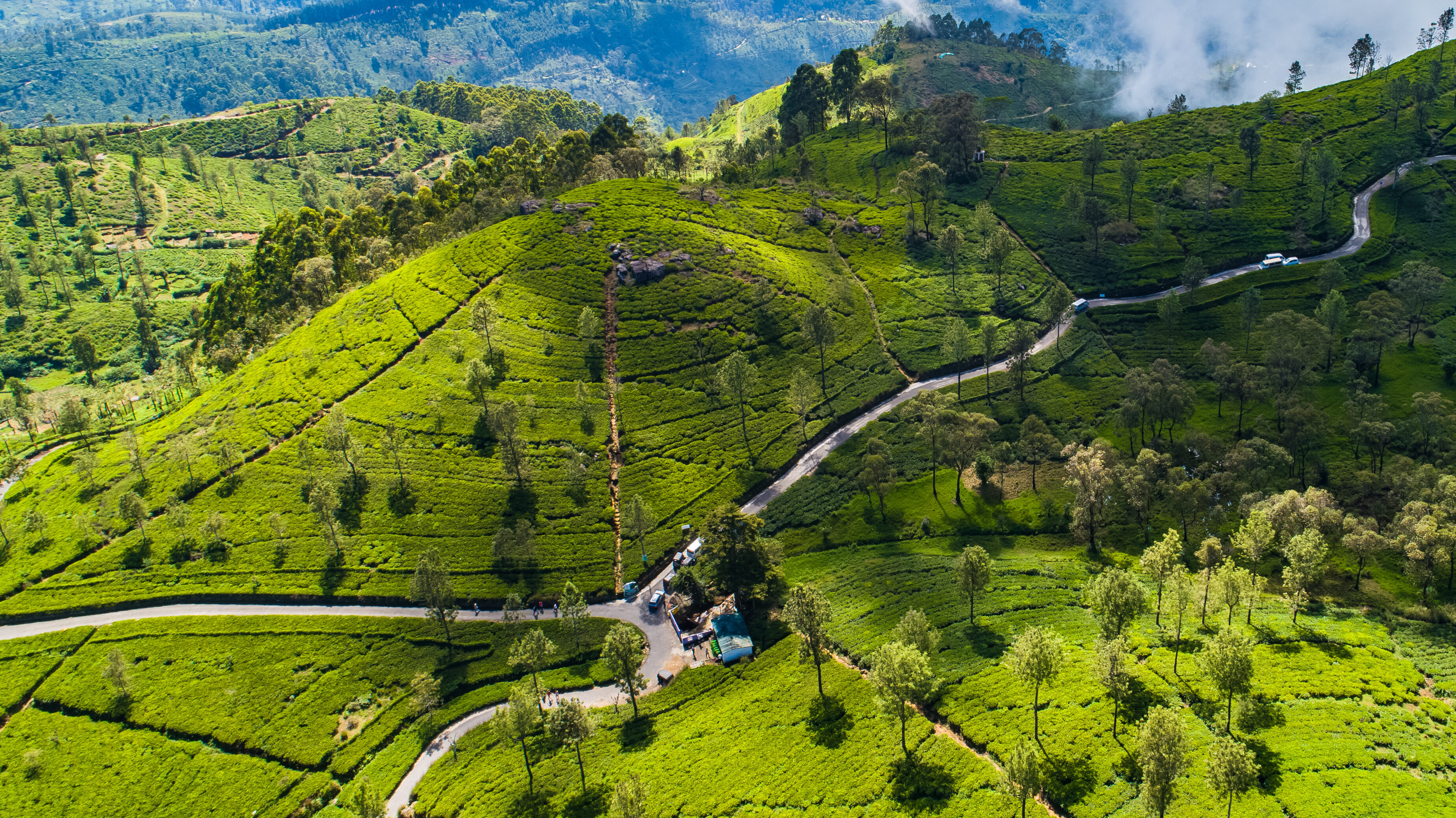 Sri-Lanka-Hatton-Lipton-Seat