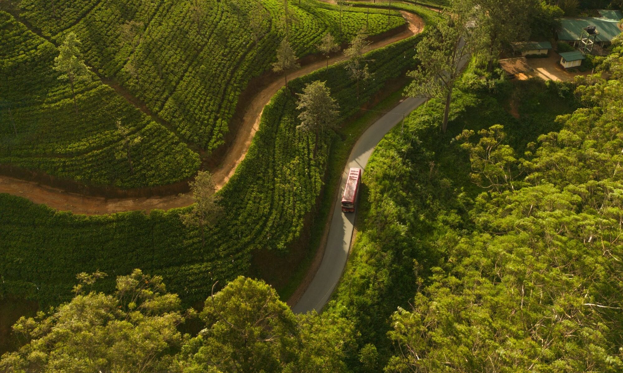 Sri-Lanka-Central-Highlights-Ceylon-Tea-Trails-Omgeving-Landschap