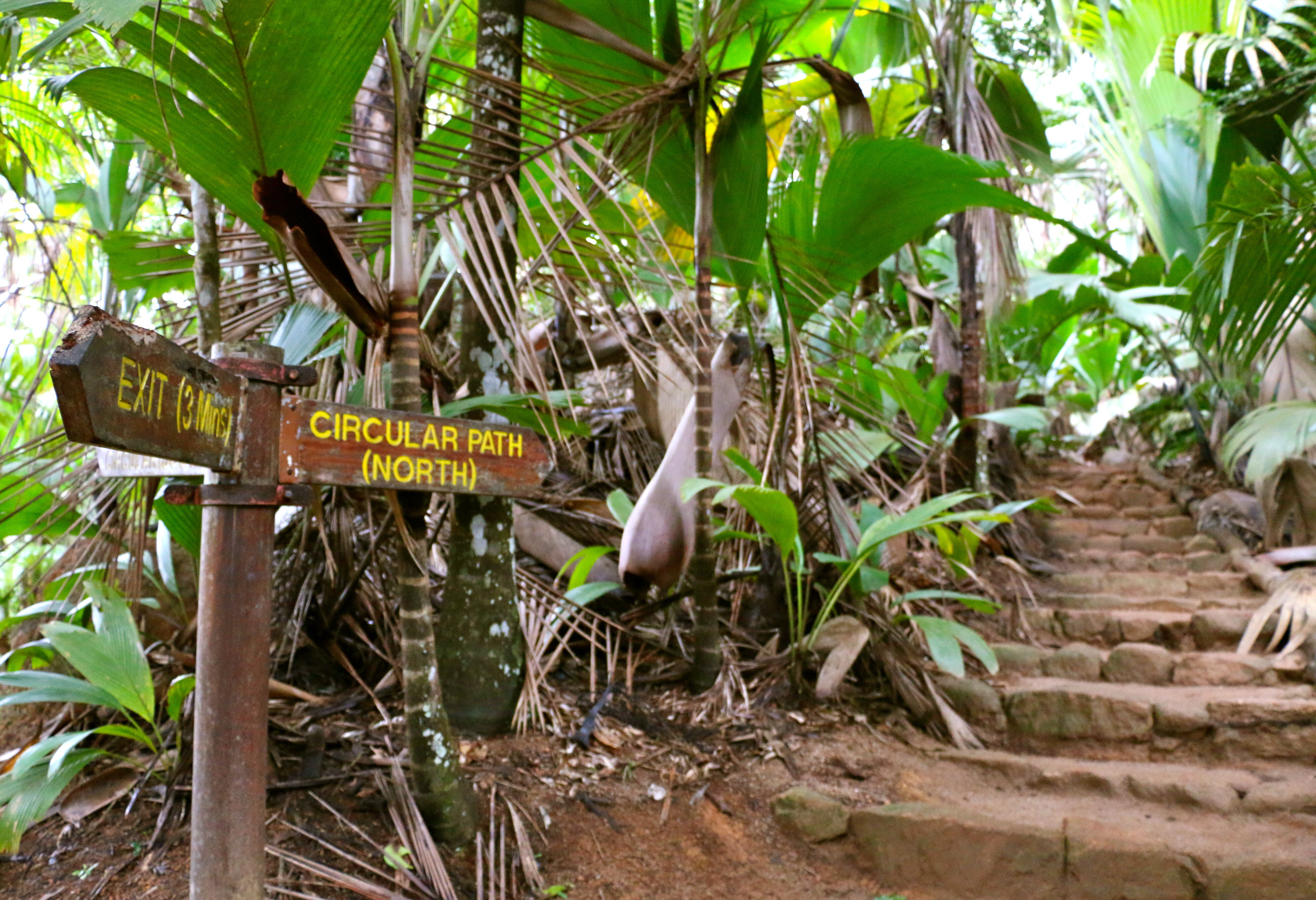 Seychellen Silhouette Cruises Praslin