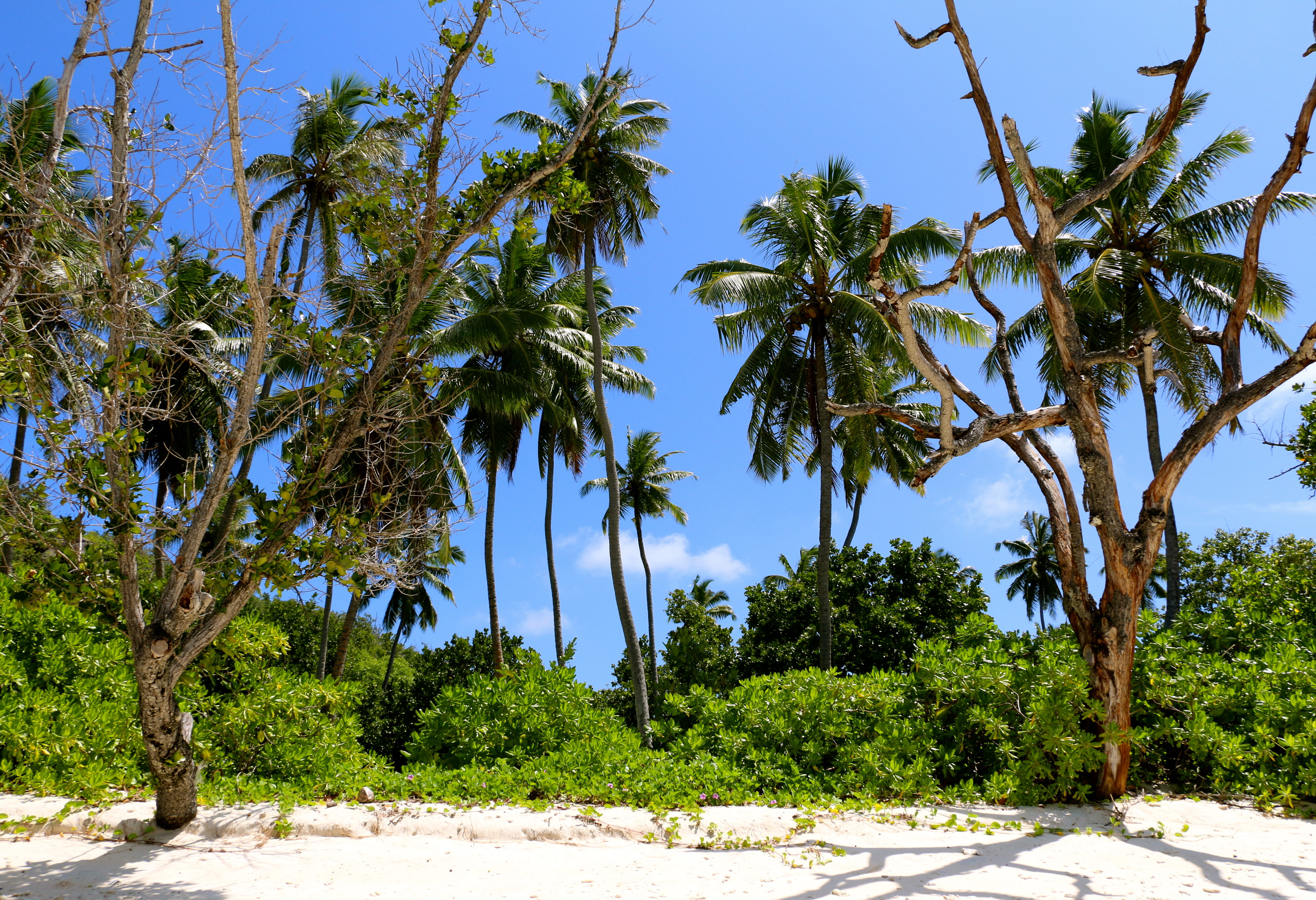 Seychellen Silhouette Cruises Sister Island