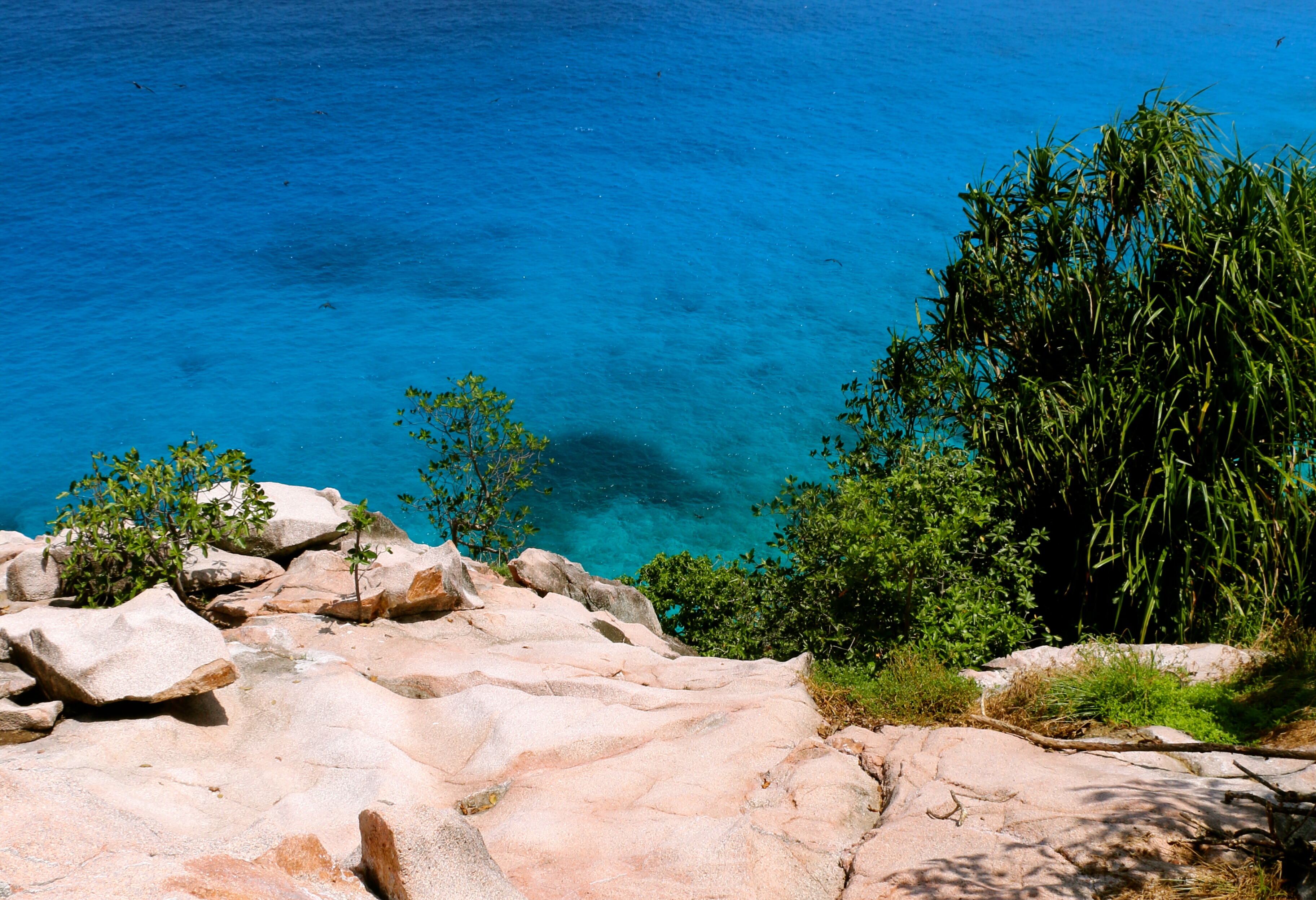 Seychellen Silhouette Cruises Aride