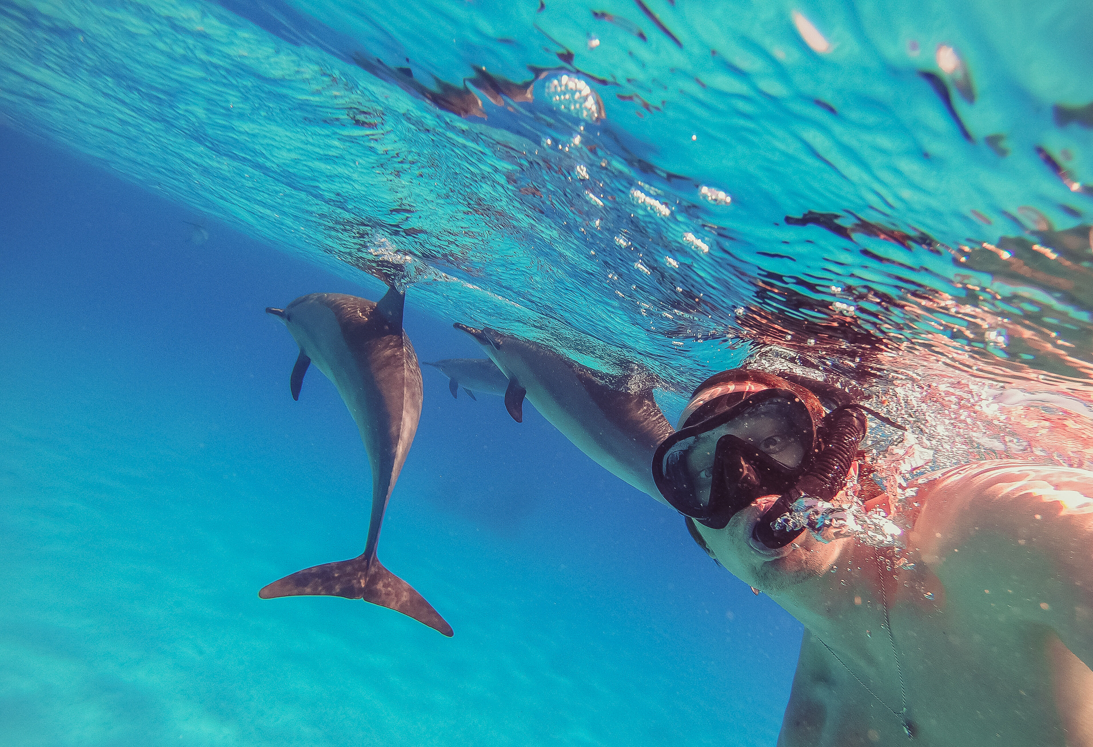 Snorkelen met dolfijnen in Hurghada