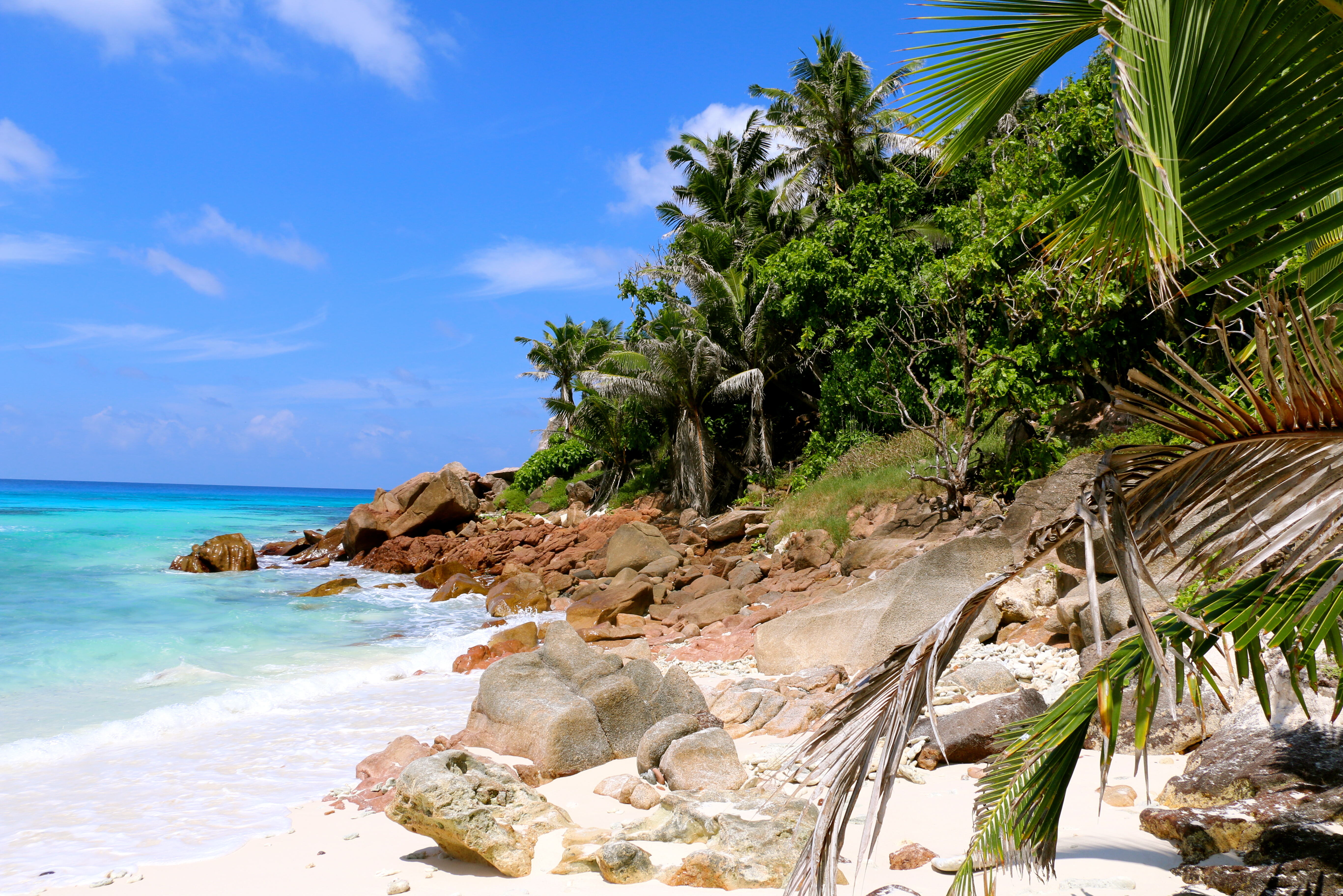 Seychellen Silhouette Cruises Aride