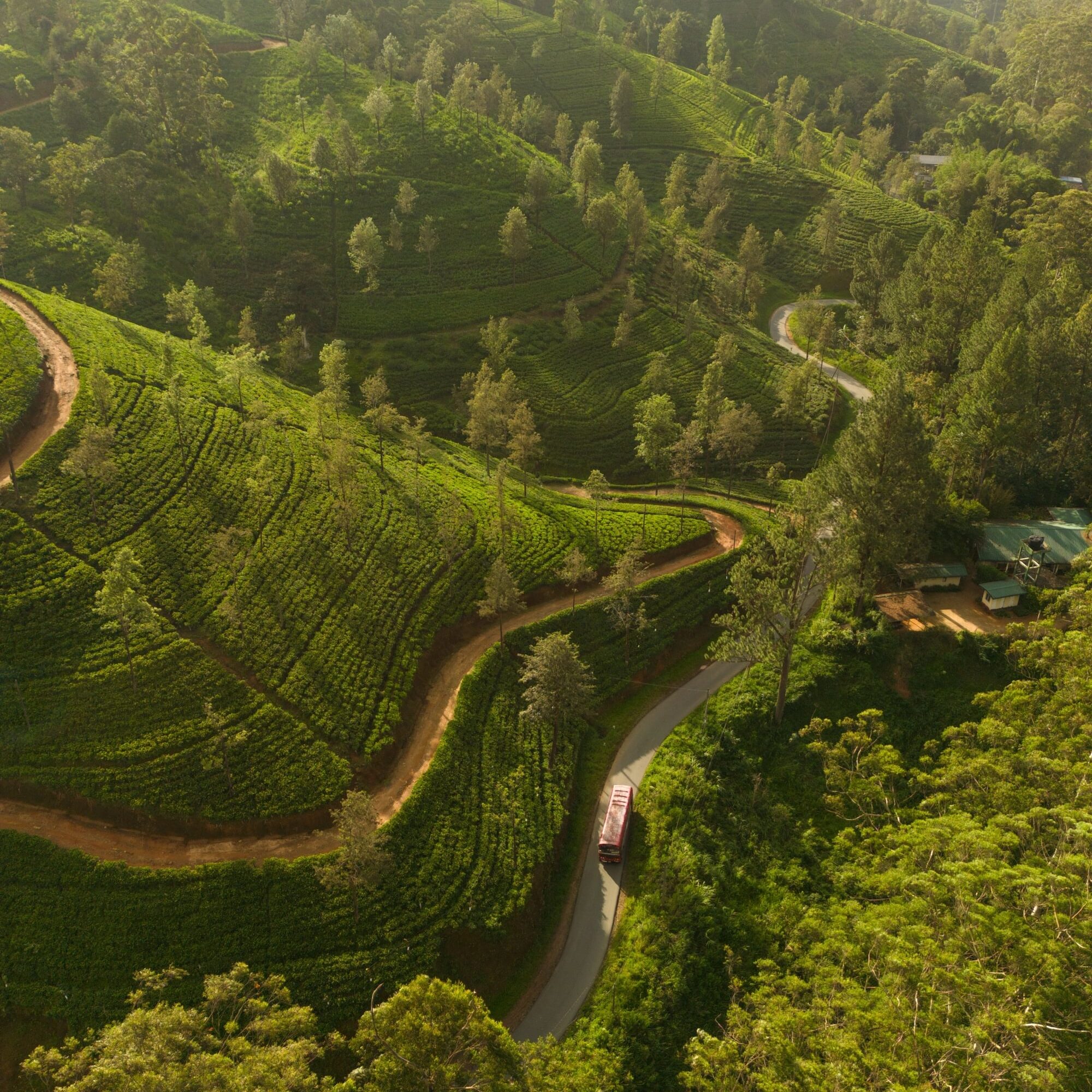 Sri Lanka