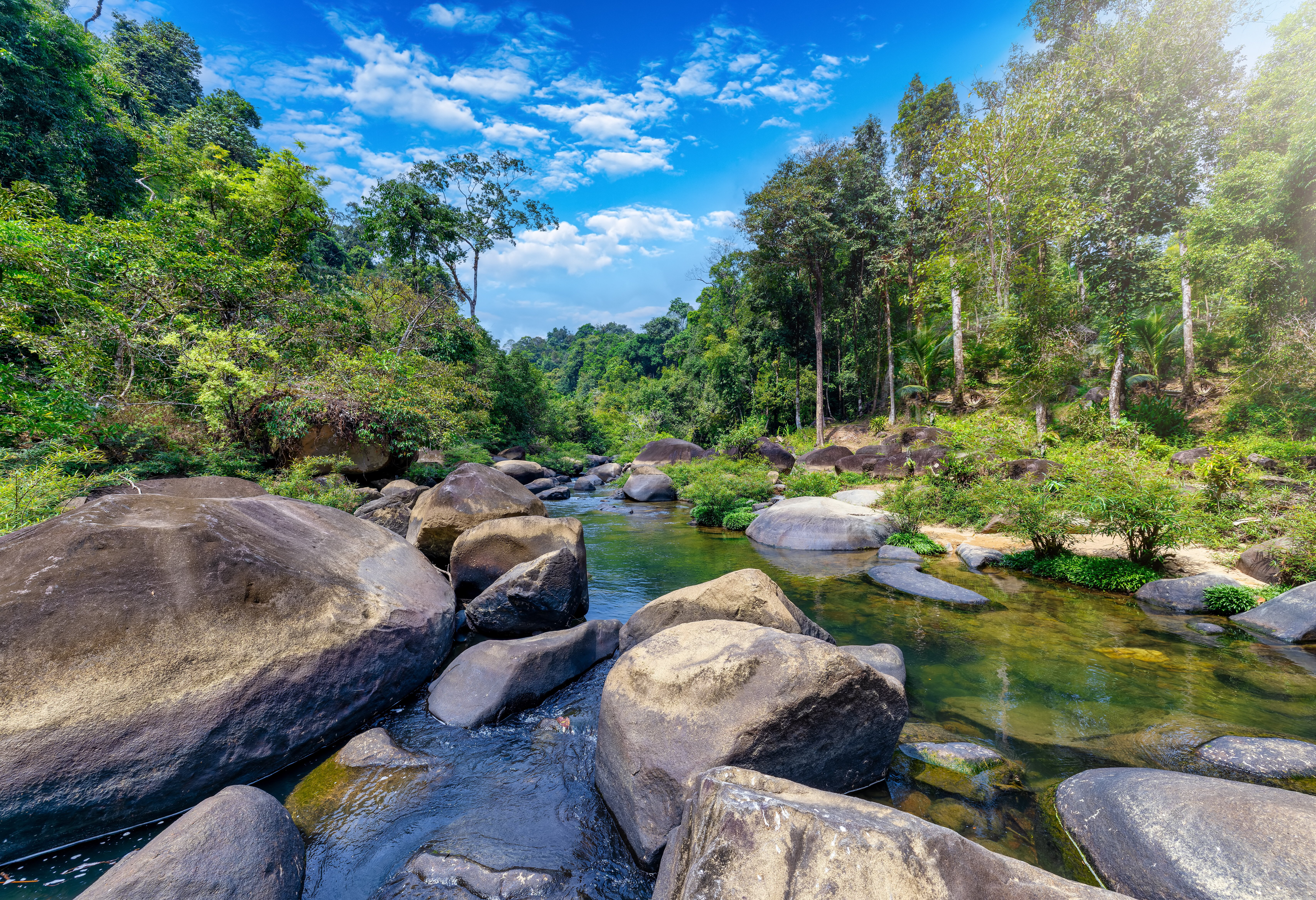 Rivier in Khao Sok nationaal park