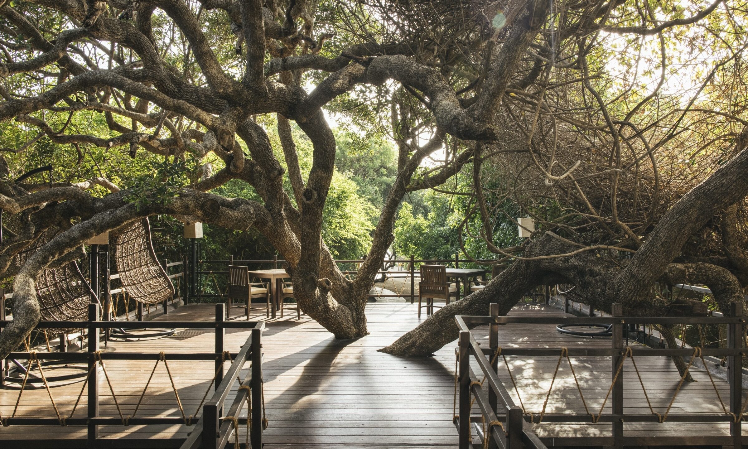 Sri-Lanka-Trincomalee-Uga-Jungle-Beach-Treetop-Dining