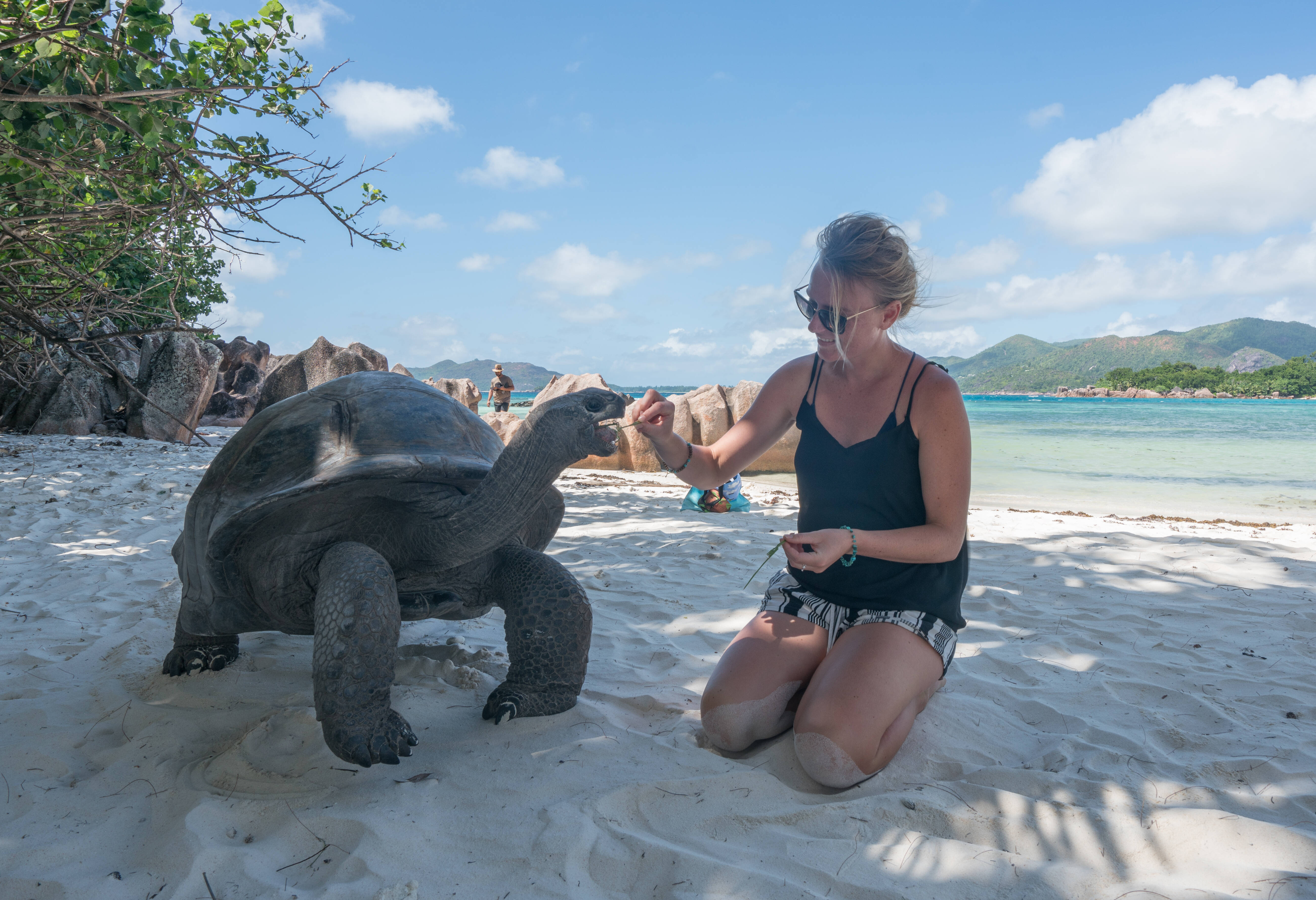 Seychellen Silhouette Cruises Curieuse