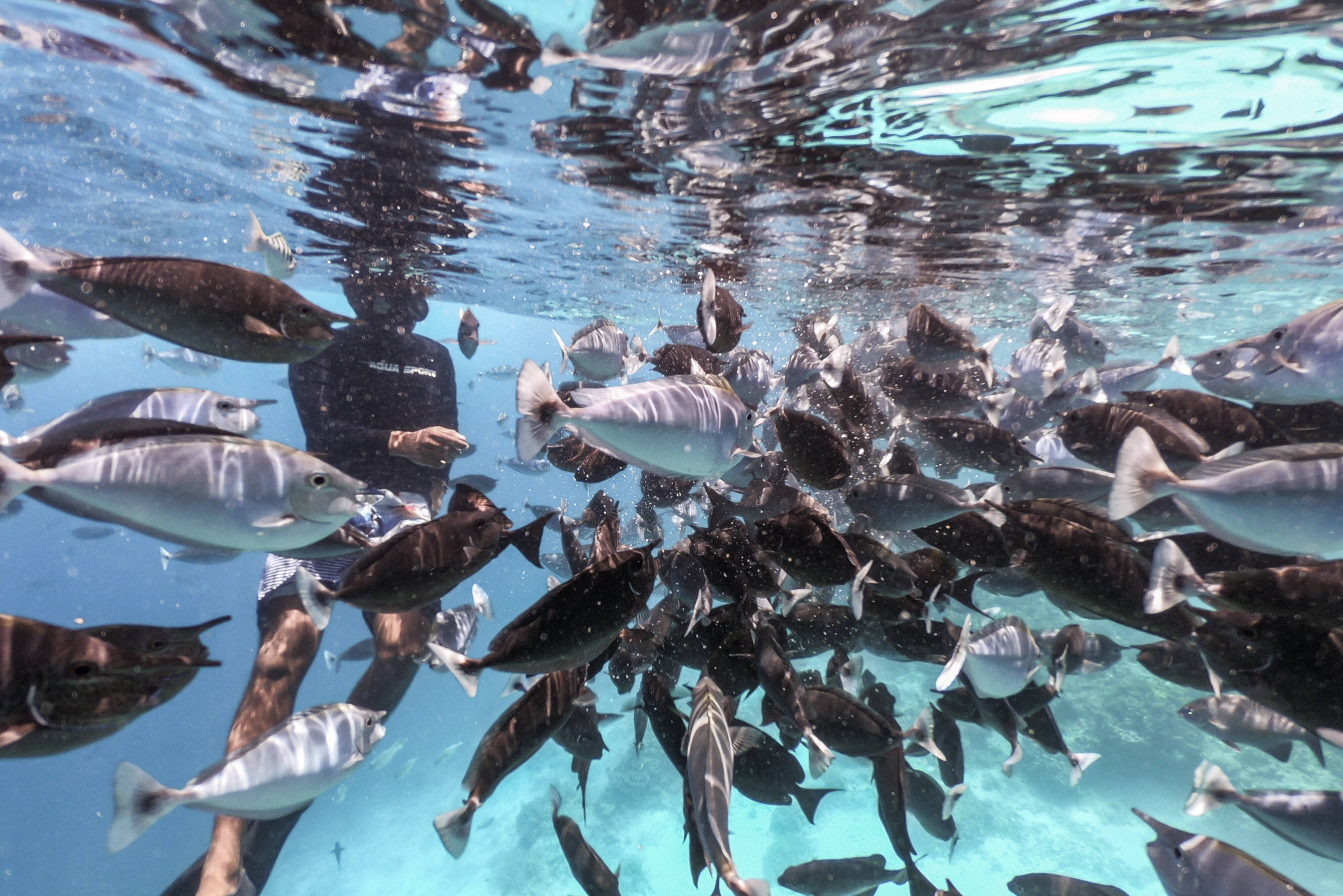 Malediven Maafushi Arena Beach Hotel Onderwaterwereld