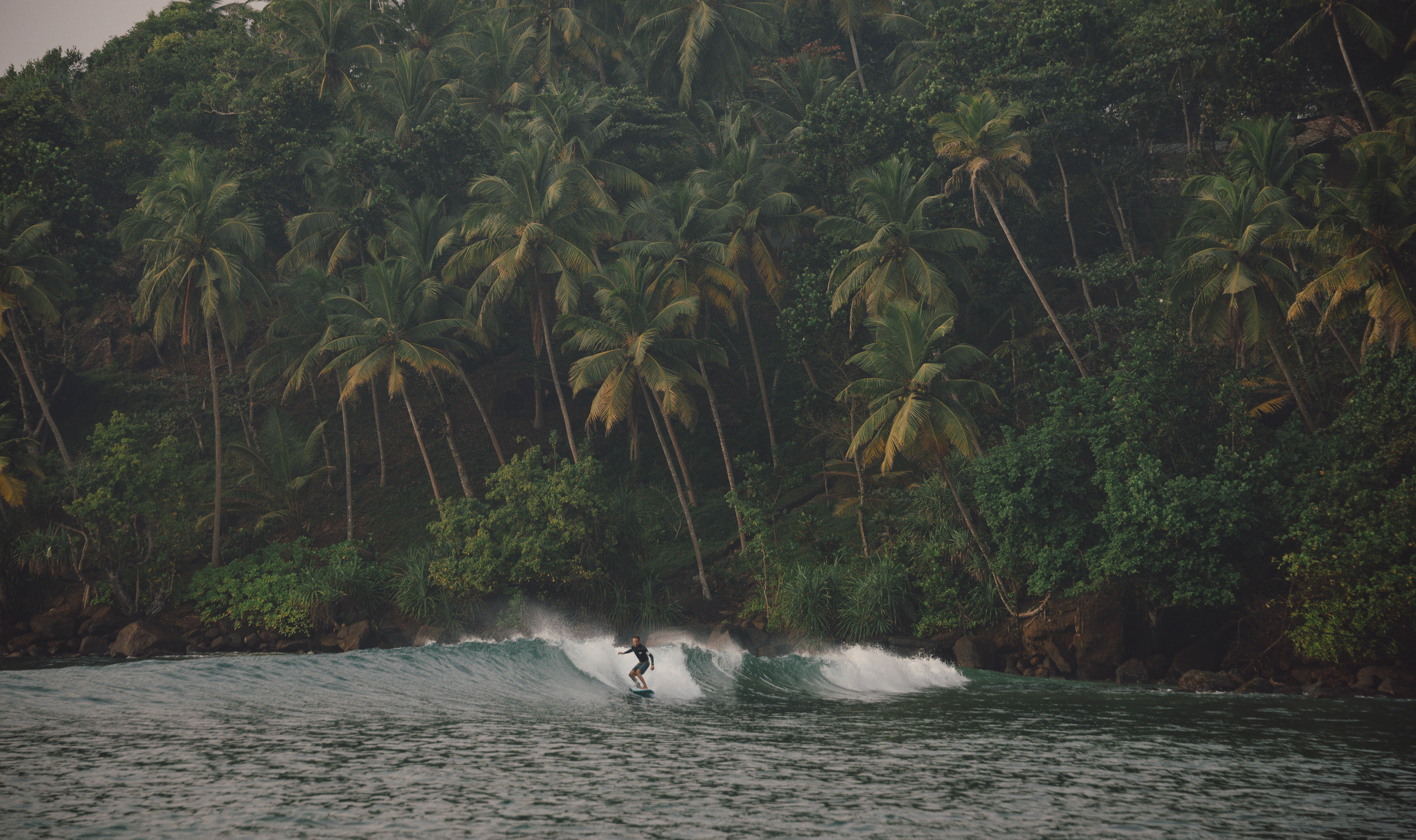 Sri-Lanka-Bentota-surfen