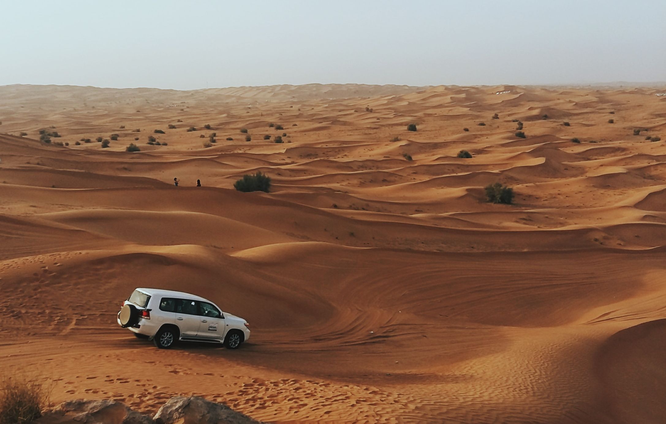 zafeerah-heesambee-bXsJnwcIykw-unsplash